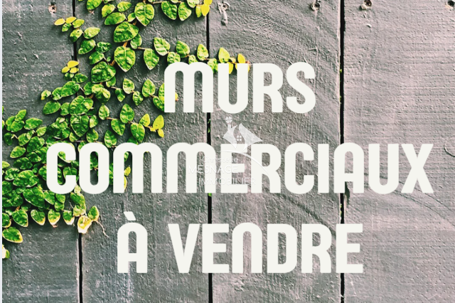 Agence immobilière de Christelle Mesnage Immobilier