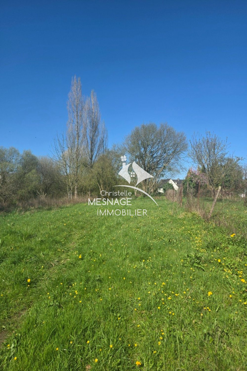 Agence immobilière de Christelle Mesnage Immobilier