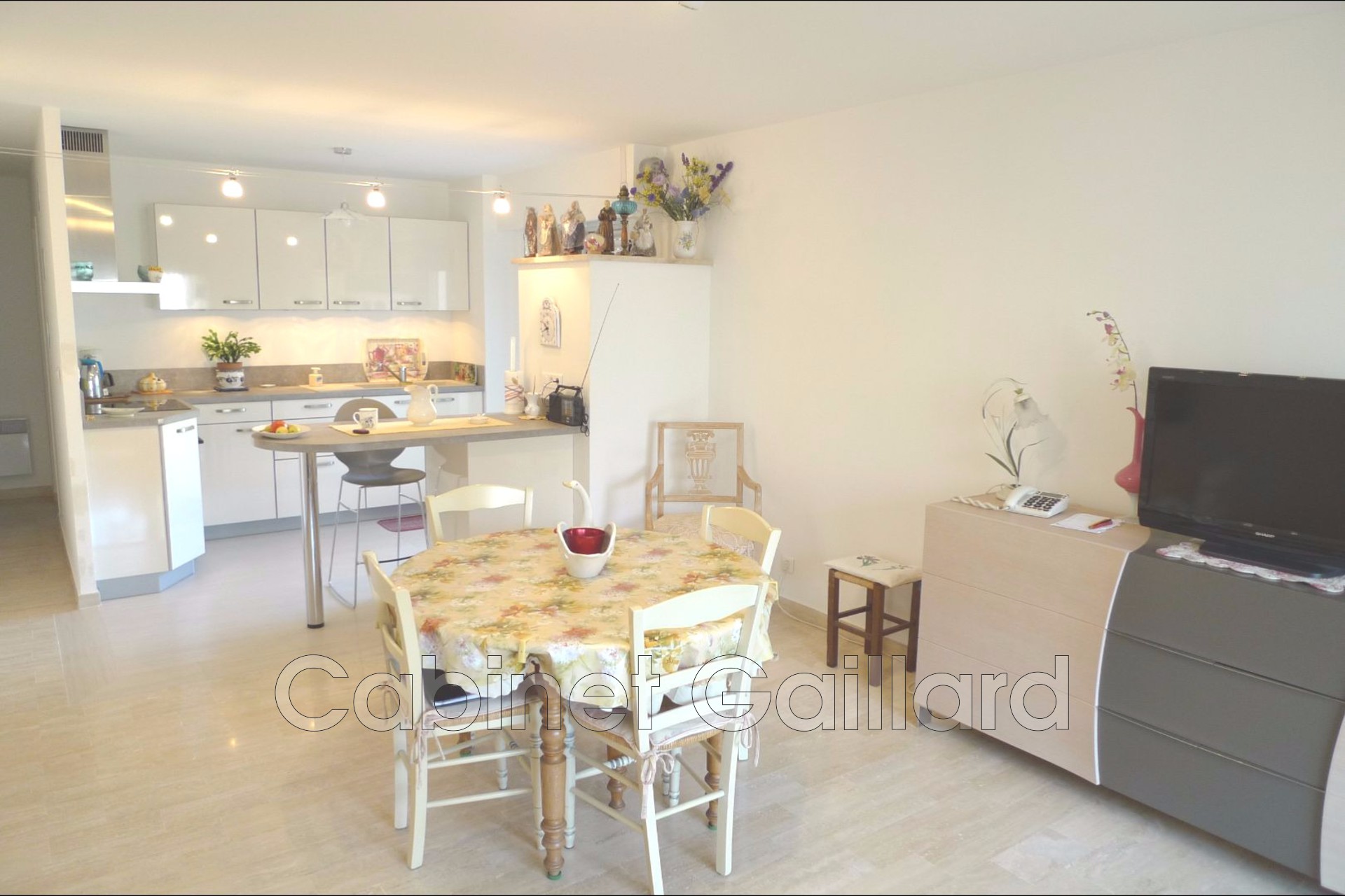 Agence immobilière de Cabinet Gaillard