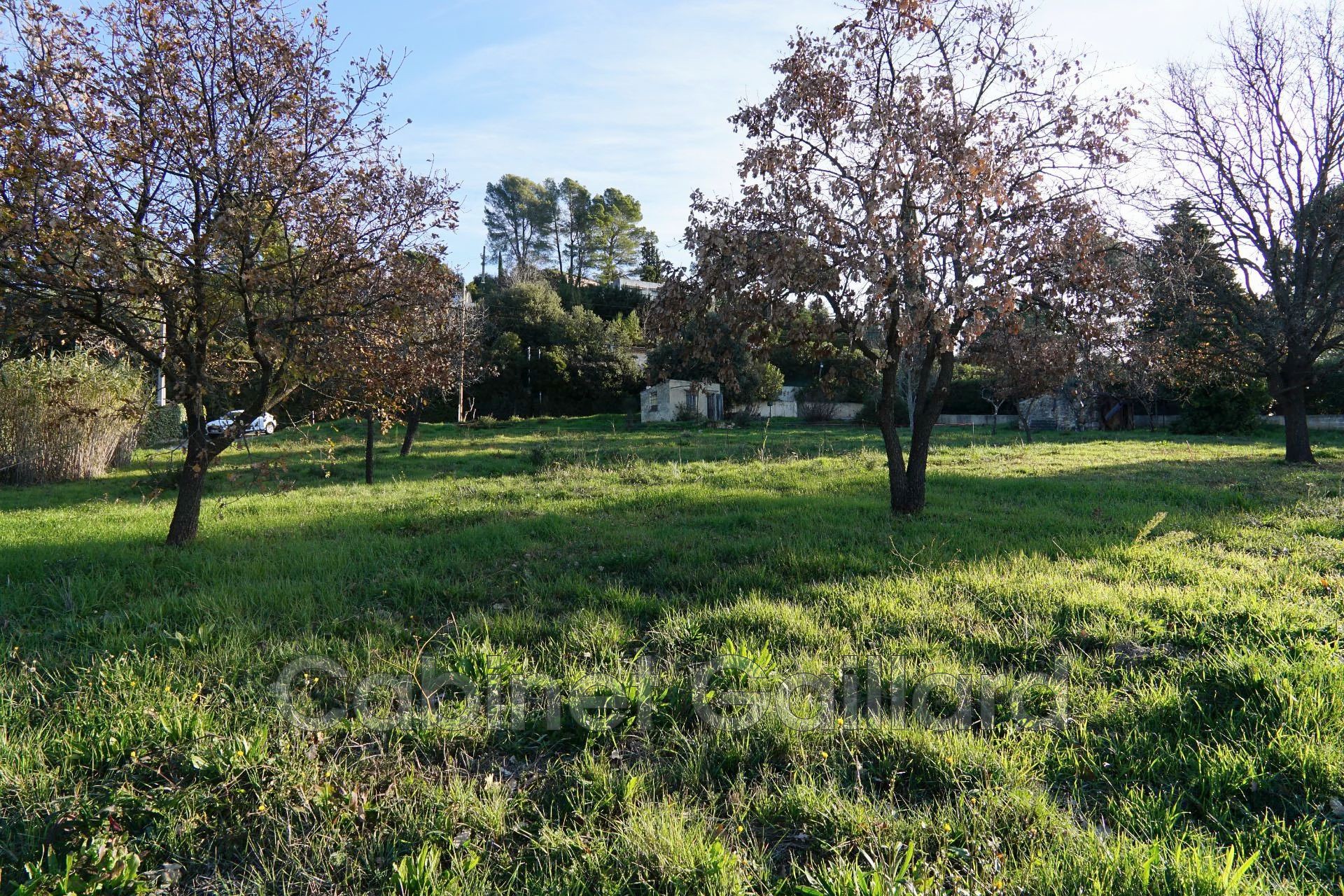 Agence immobilière de Cabinet Gaillard