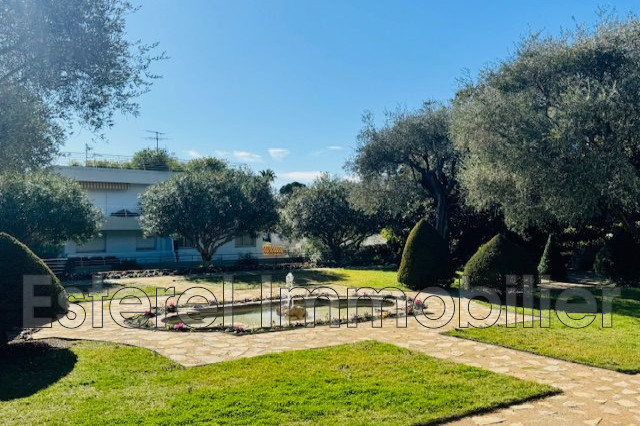 Agence immobilière de Esterel Immobilier