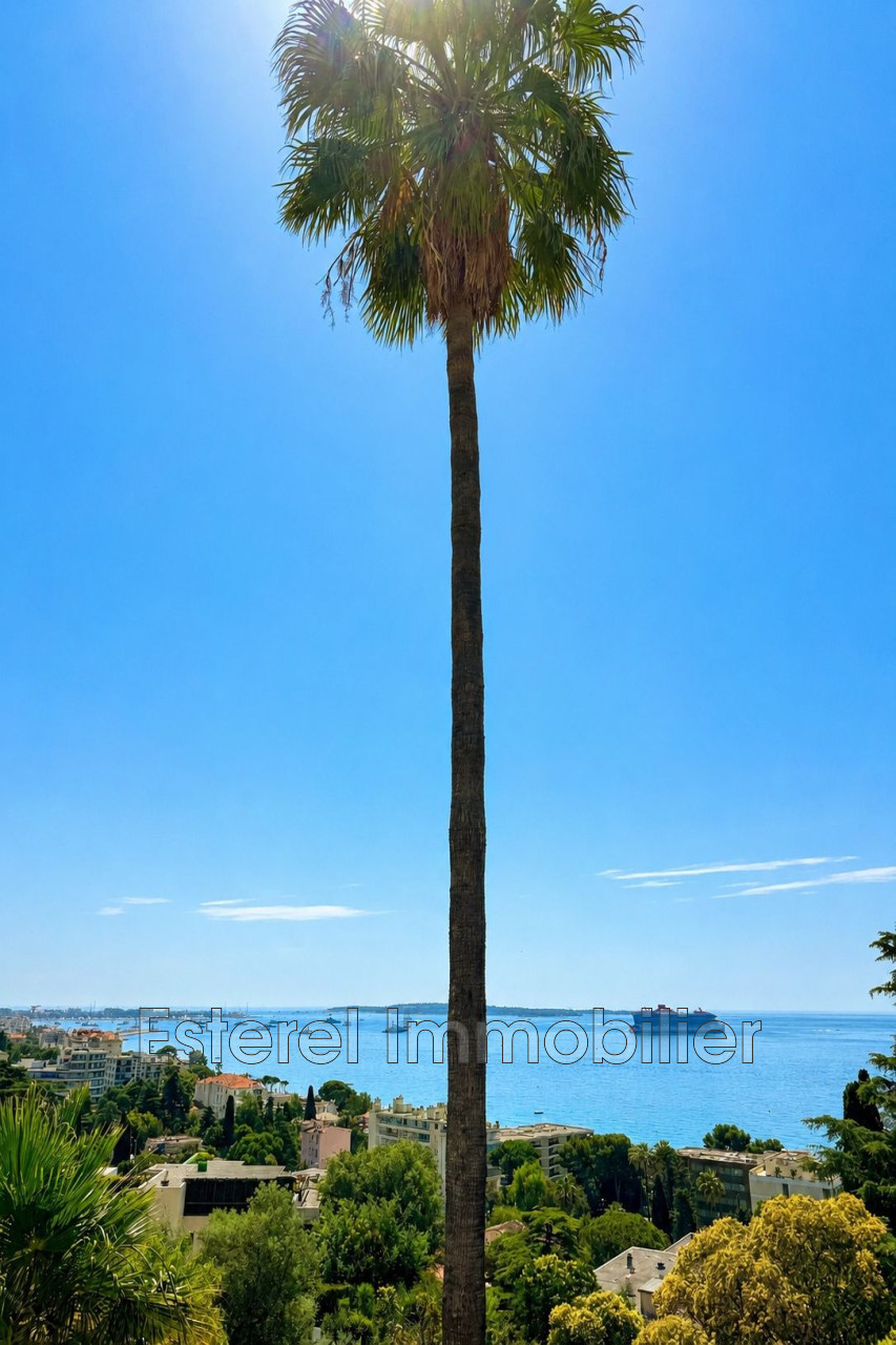 Agence immobilière de Esterel Immobilier