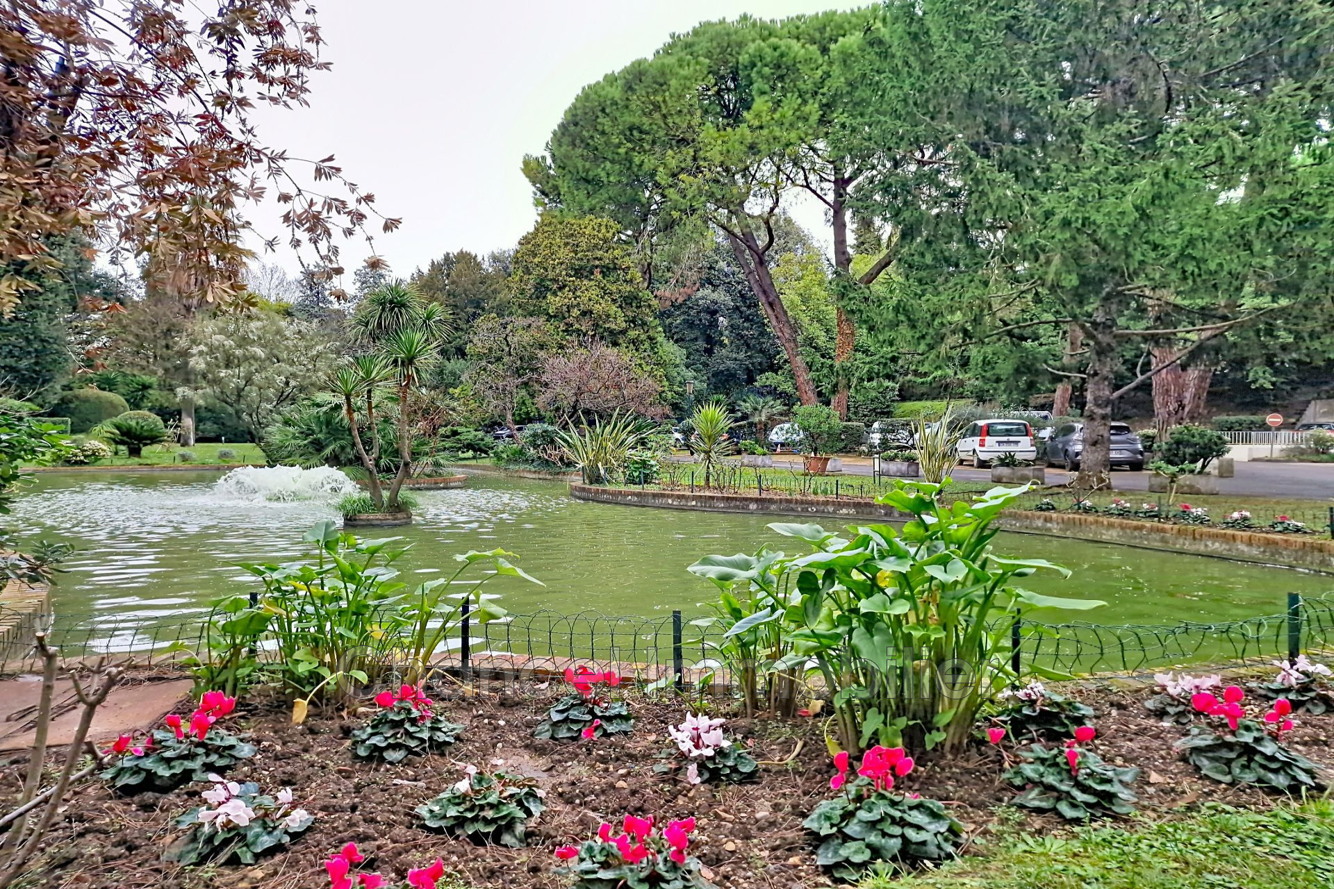 Agence immobilière de Chancel Immobilier