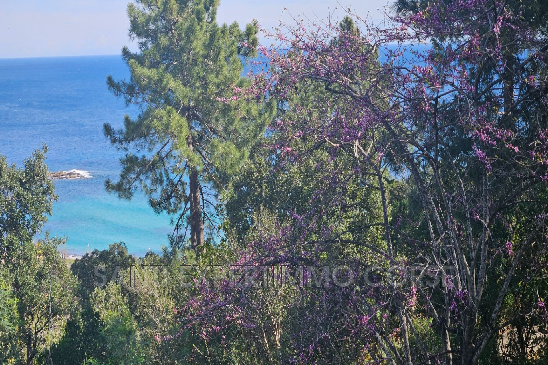 Agence immobilière de Transaction Corse du sud