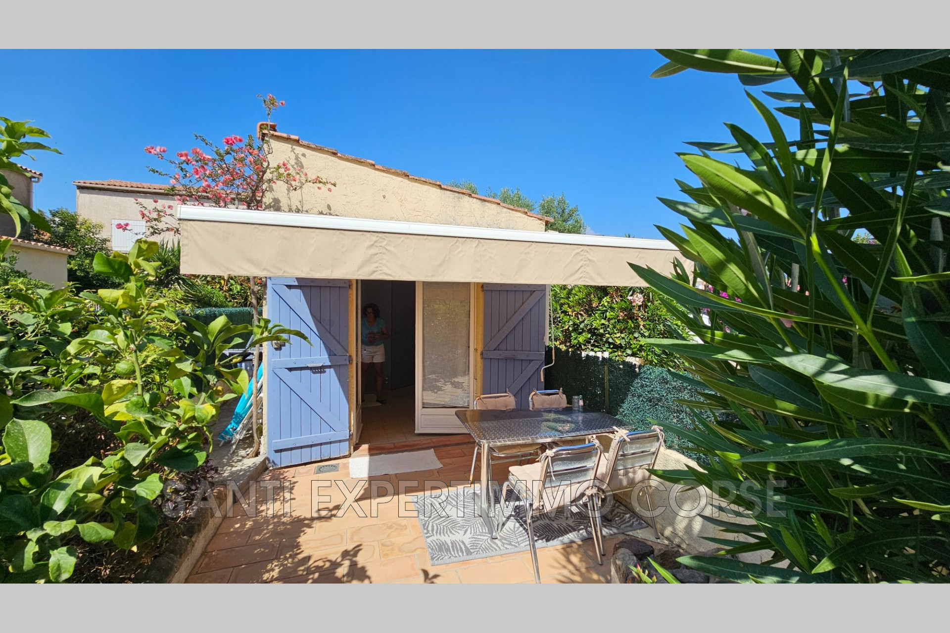 Agence immobilière de Transaction Corse du sud