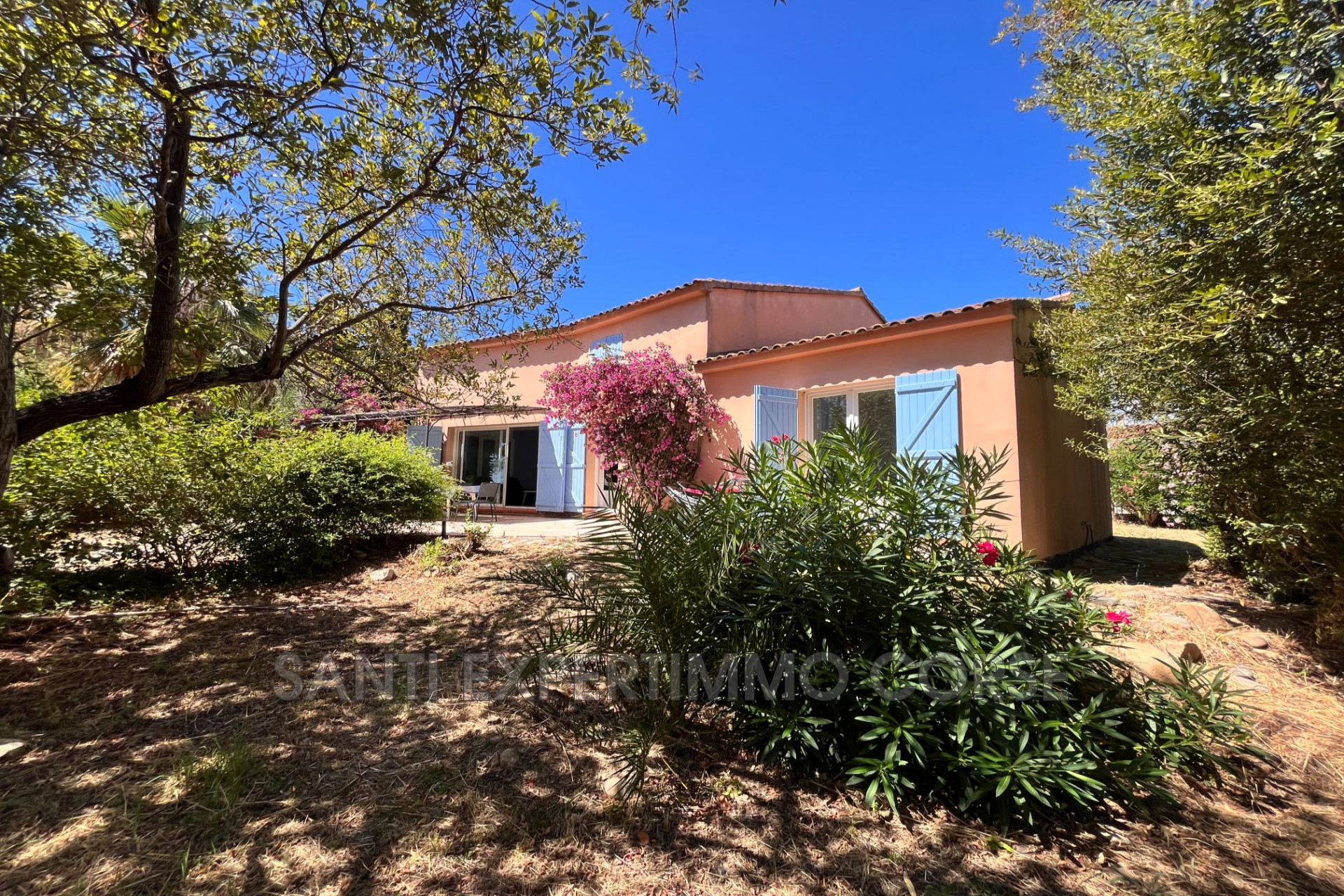 Agence immobilière de Transaction Corse du sud