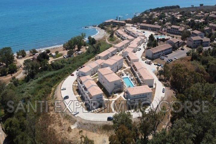 Agence immobilière de Transaction Corse du sud