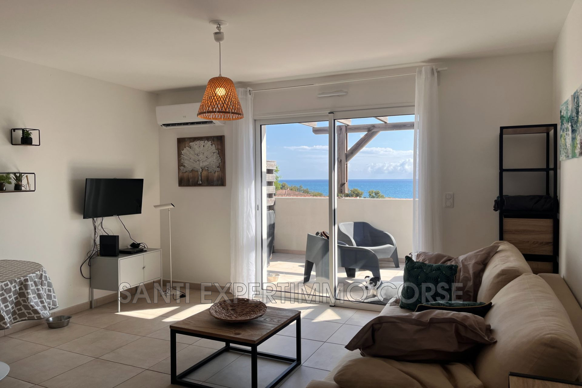 Agence immobilière de Transaction Corse du sud