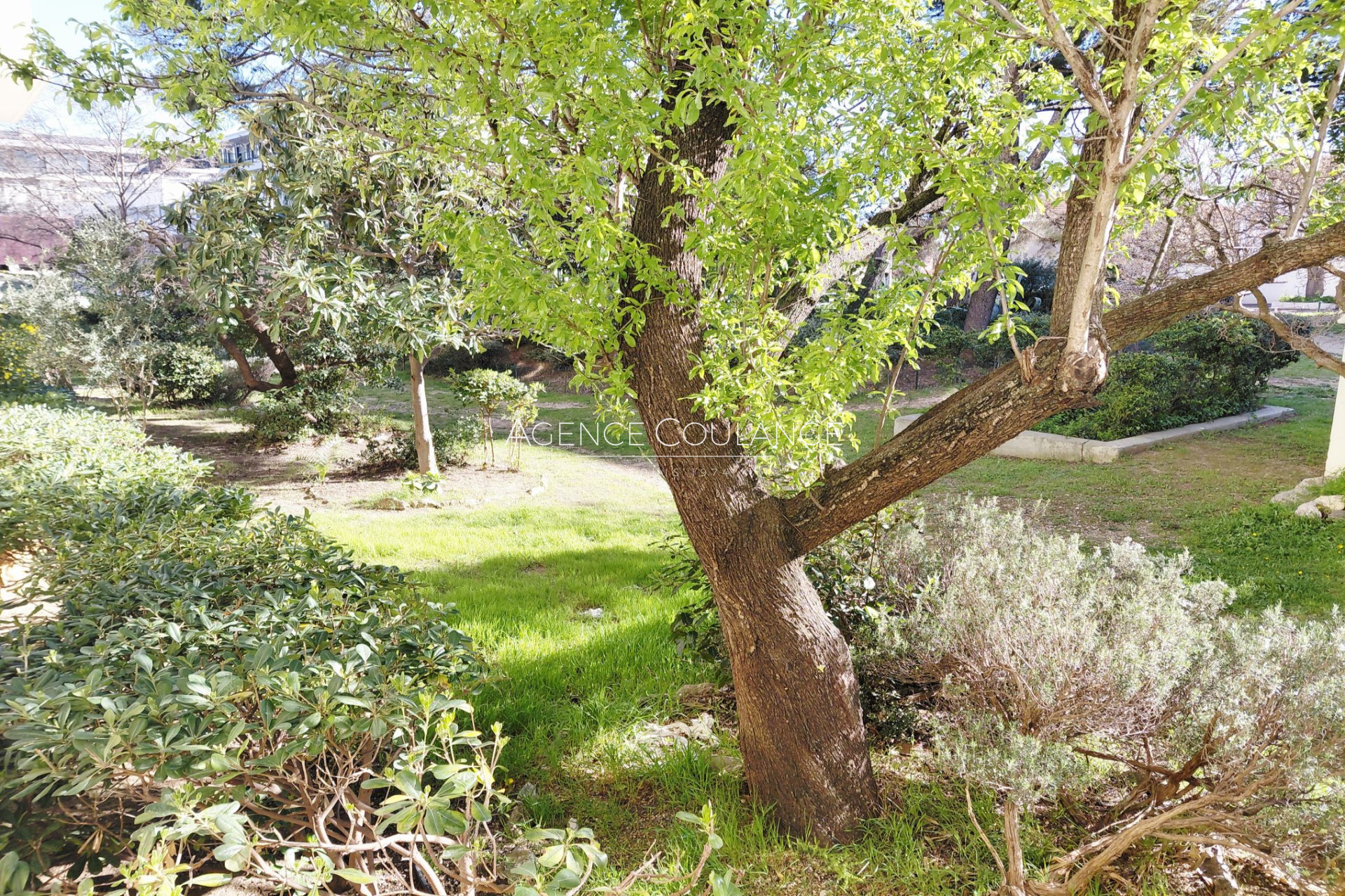 Agence immobilière de Agence Coulange