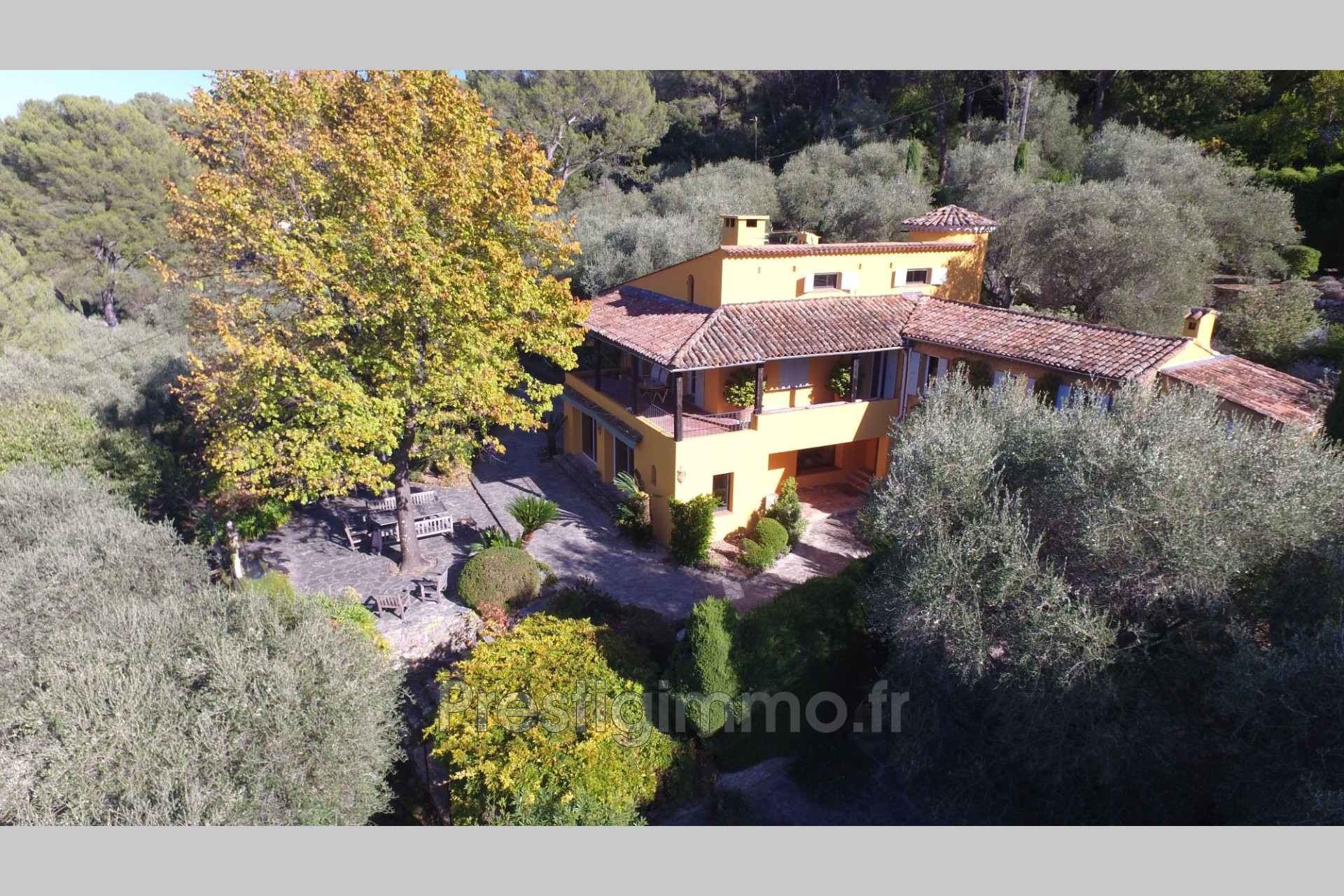 Agence immobilière de Prestigimmo.fr