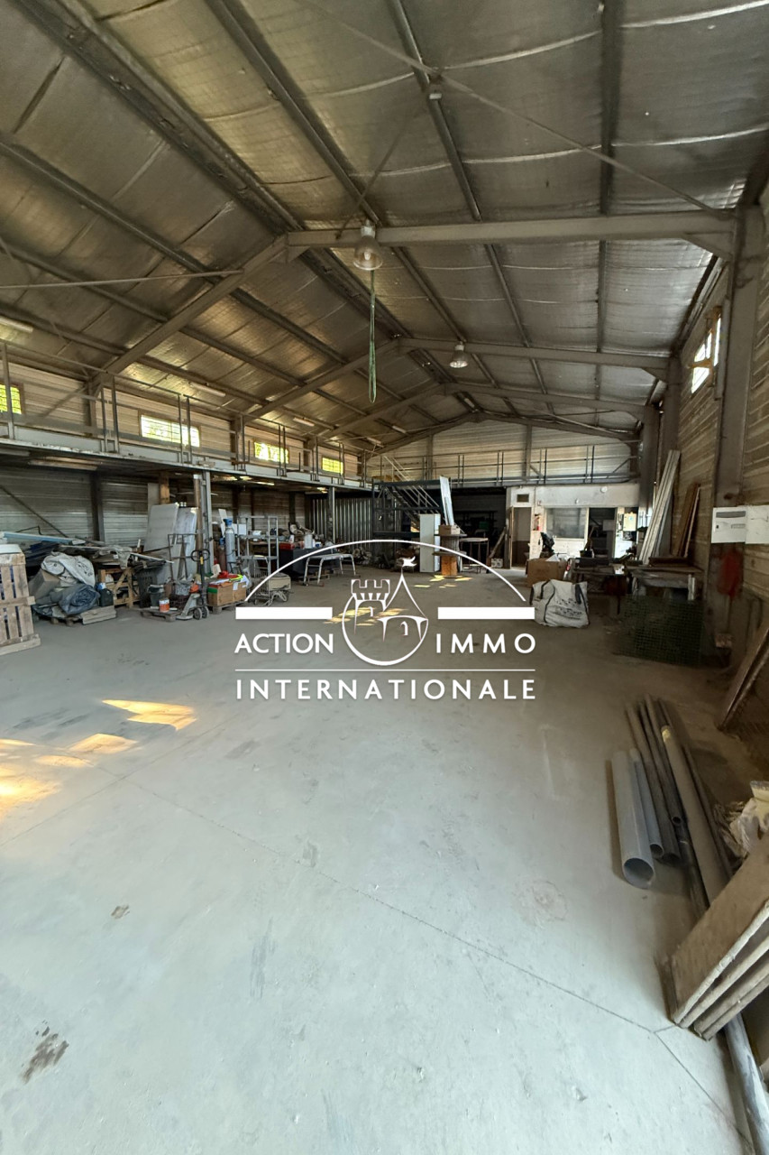 Agence immobilière de Action Immobilière Internationale