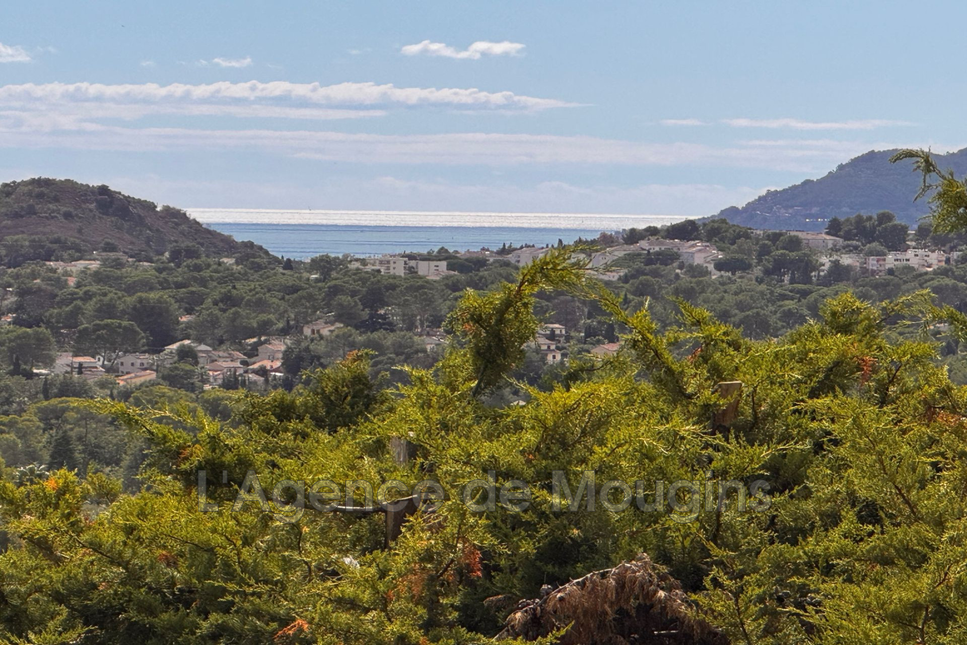 Agence immobilière de L'Agence de Mougins