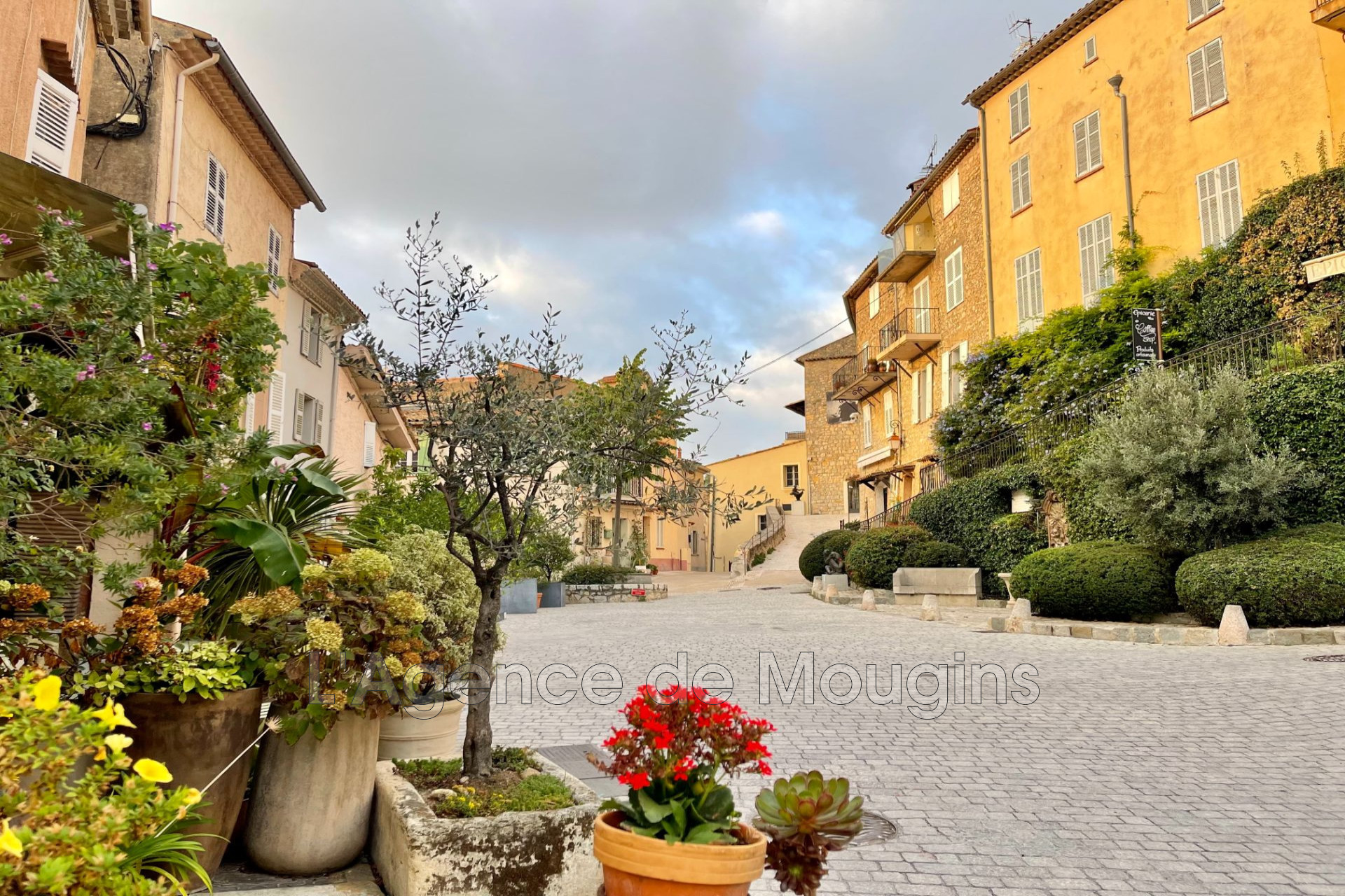Agence immobilière de L'Agence de Mougins