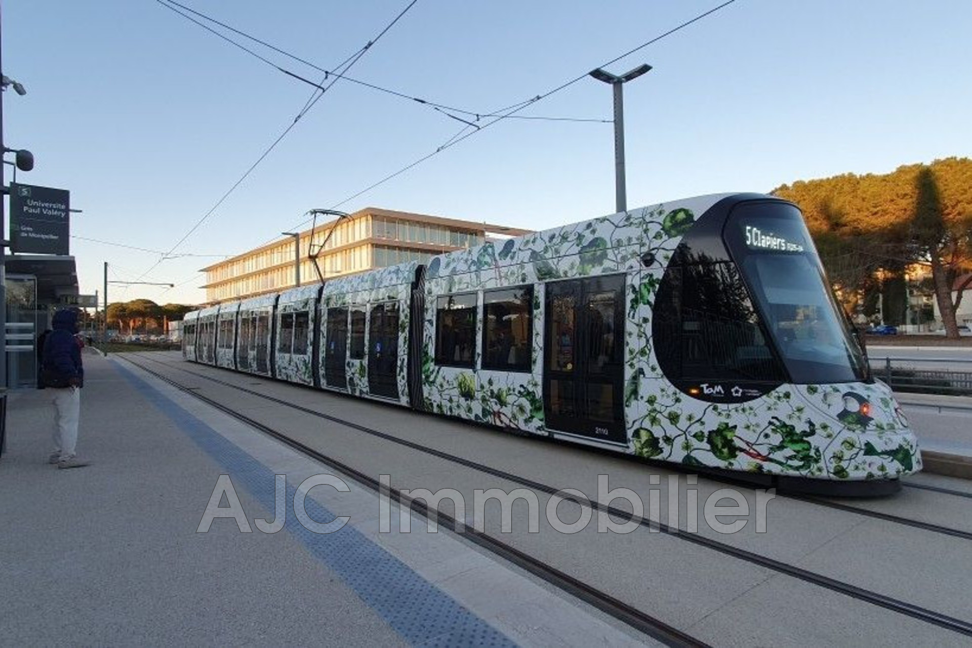 Agence immobilière de AJC Immobilier