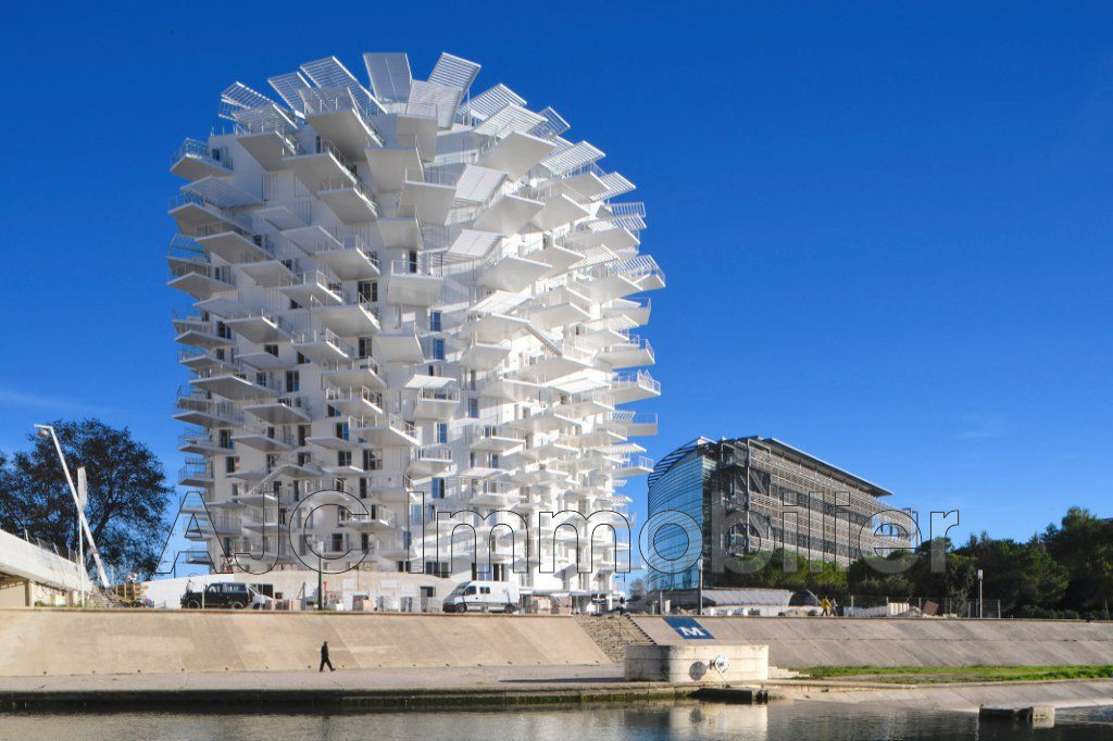Agence immobilière de AJC Immobilier