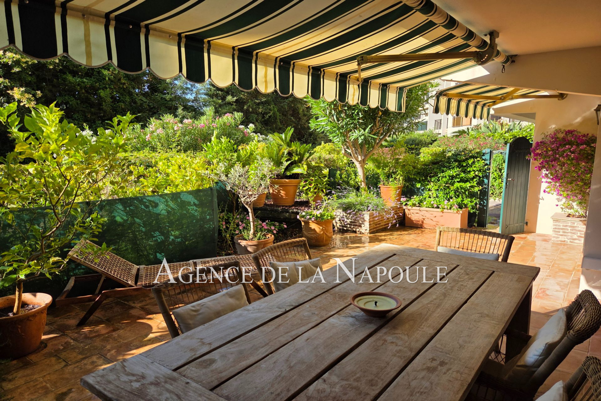 Agence immobilière de Agence de la Napoule