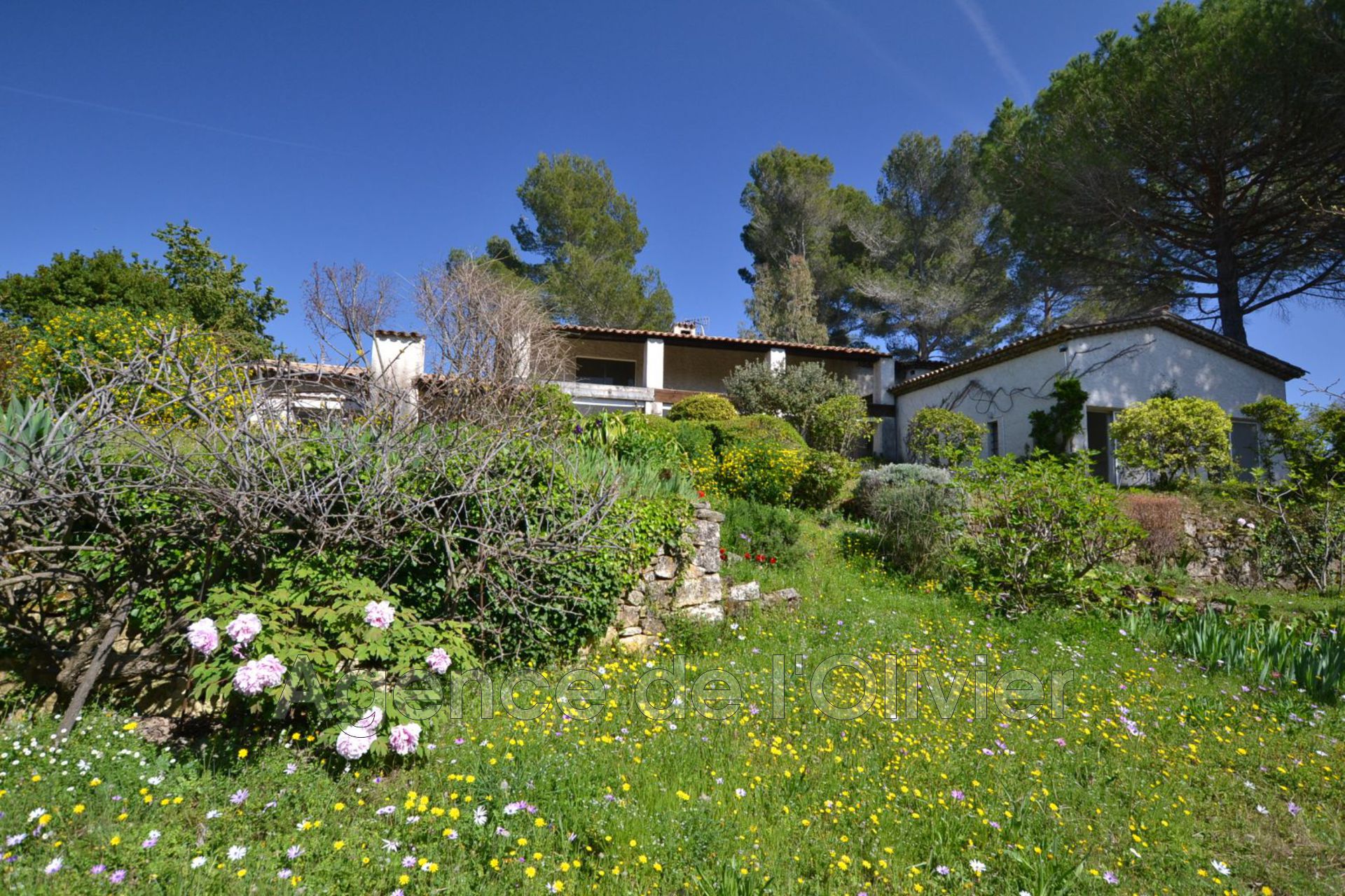 Agence immobilière de Agence de l'Olivier