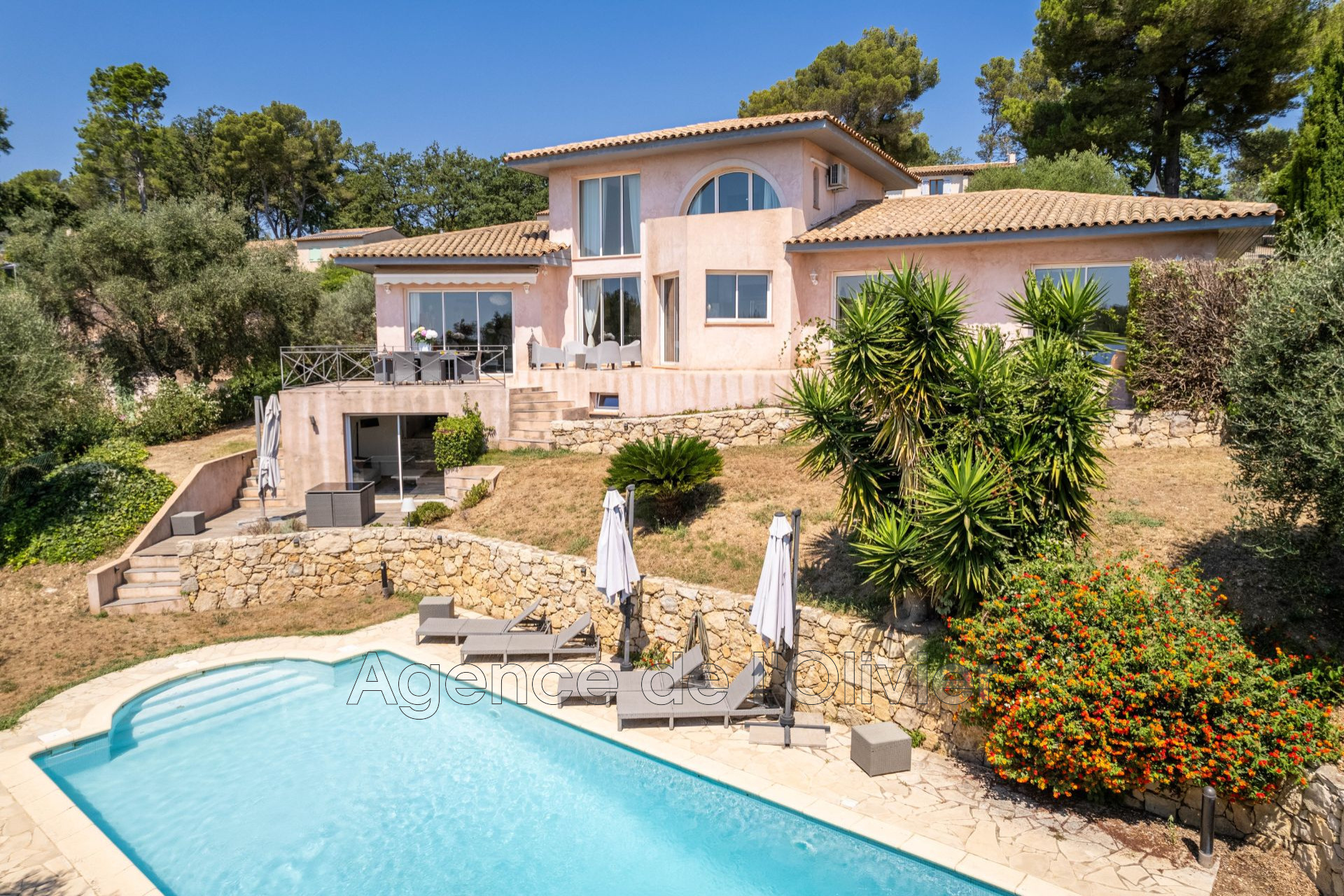 Agence immobilière de Agence de l'Olivier
