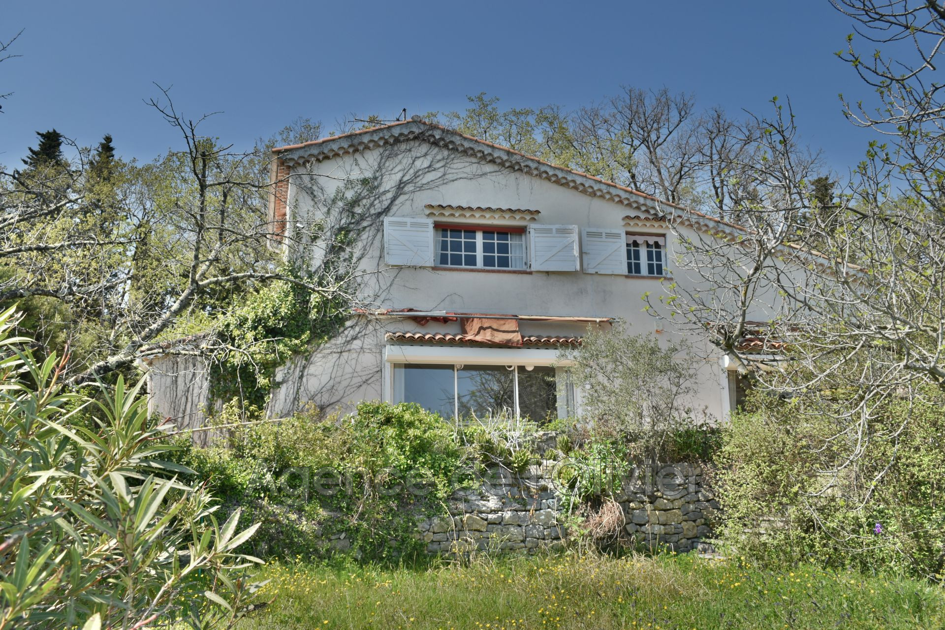 Agence immobilière de Agence de l'Olivier