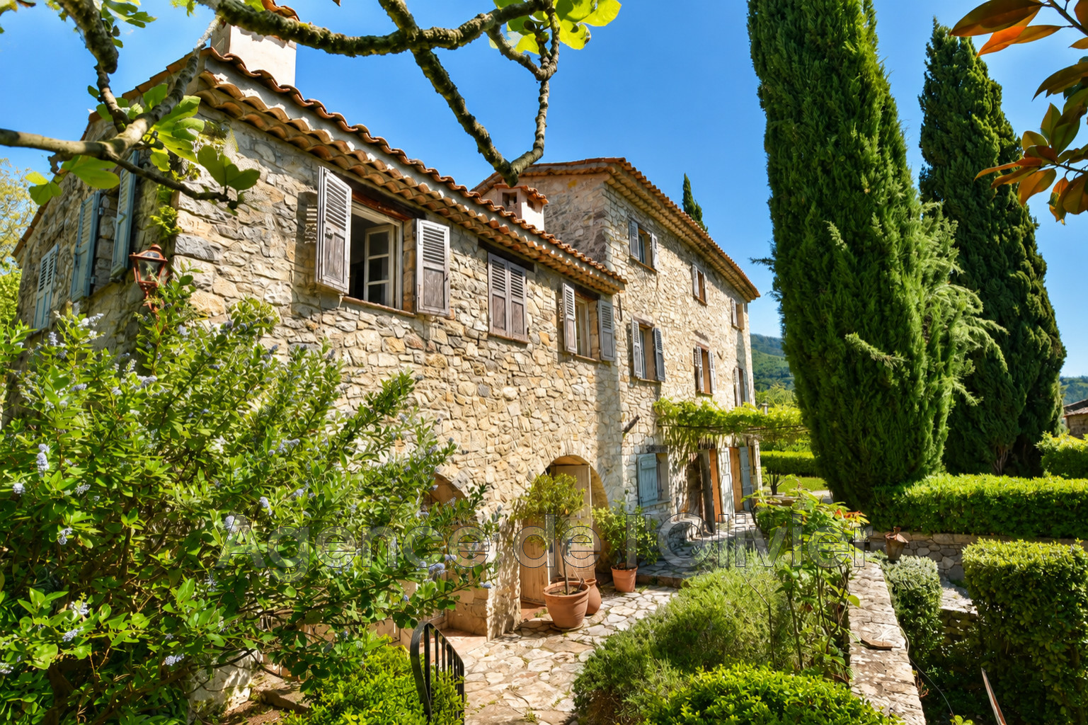 Agence immobilière de Agence de l'Olivier