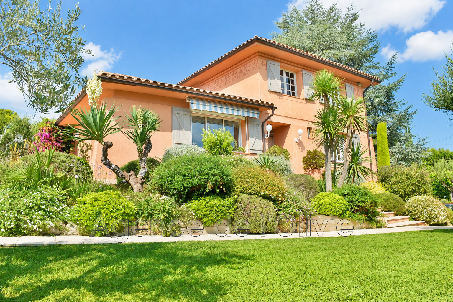 Agence immobilière de Agence de l'Olivier