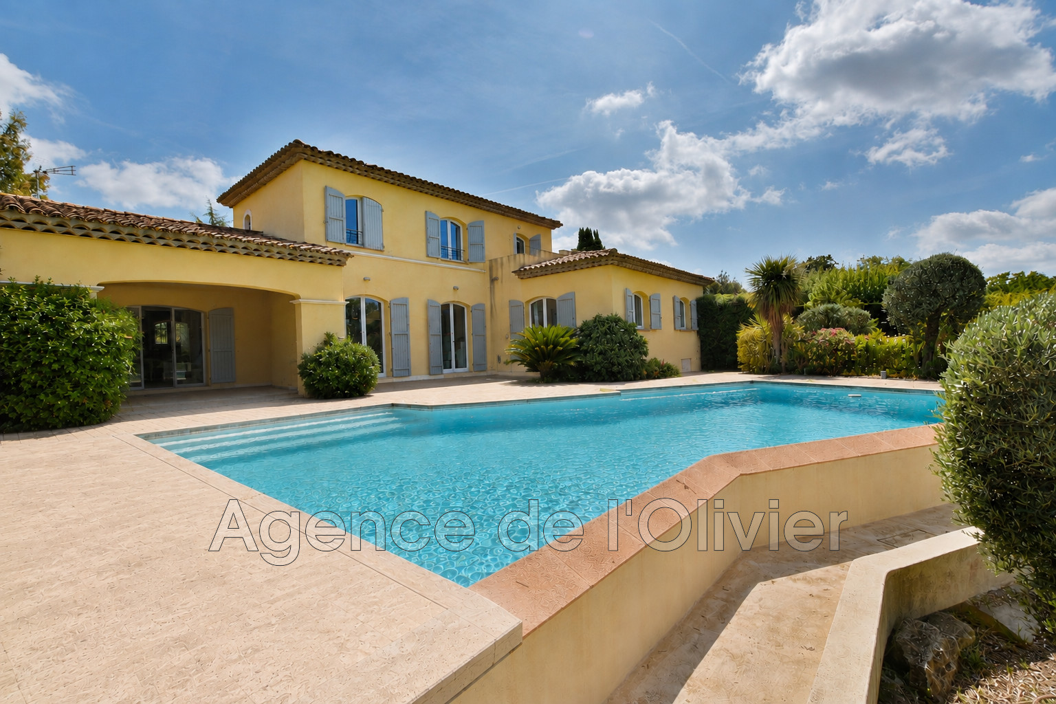 Agence immobilière de Agence de l'Olivier