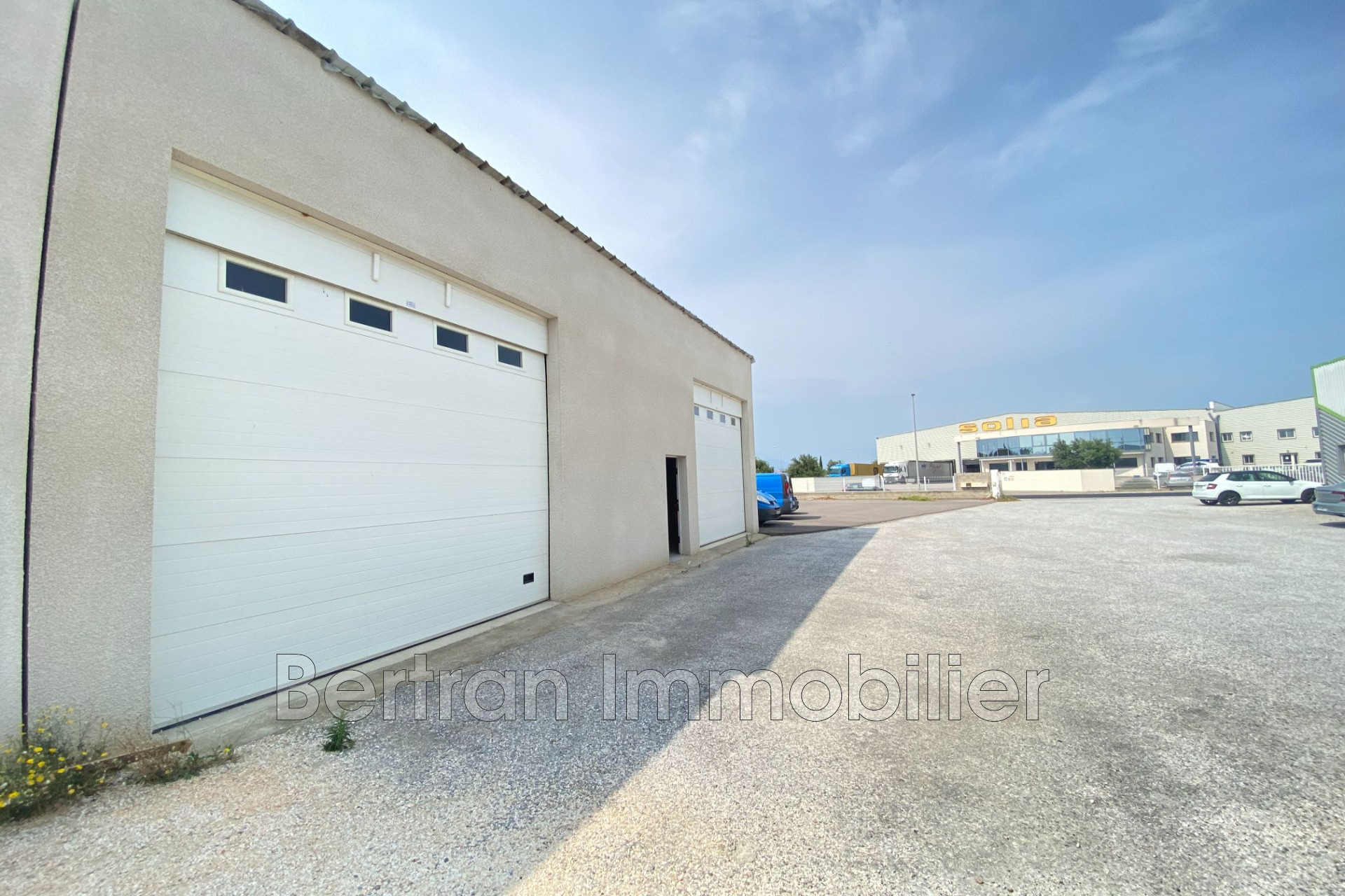 Agence immobilière de Bertran Immobilier - Côté Terre