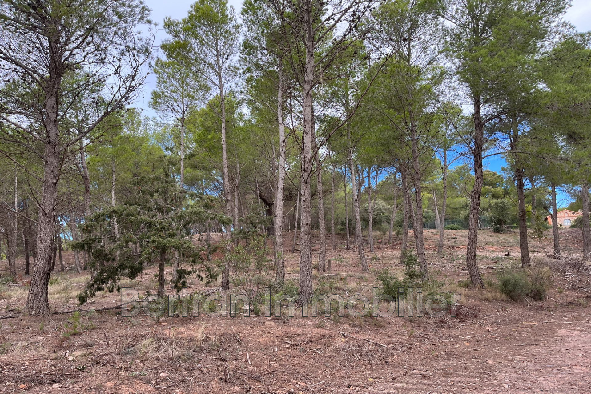 Agence immobilière de Bertran Immobilier - Côté Terre