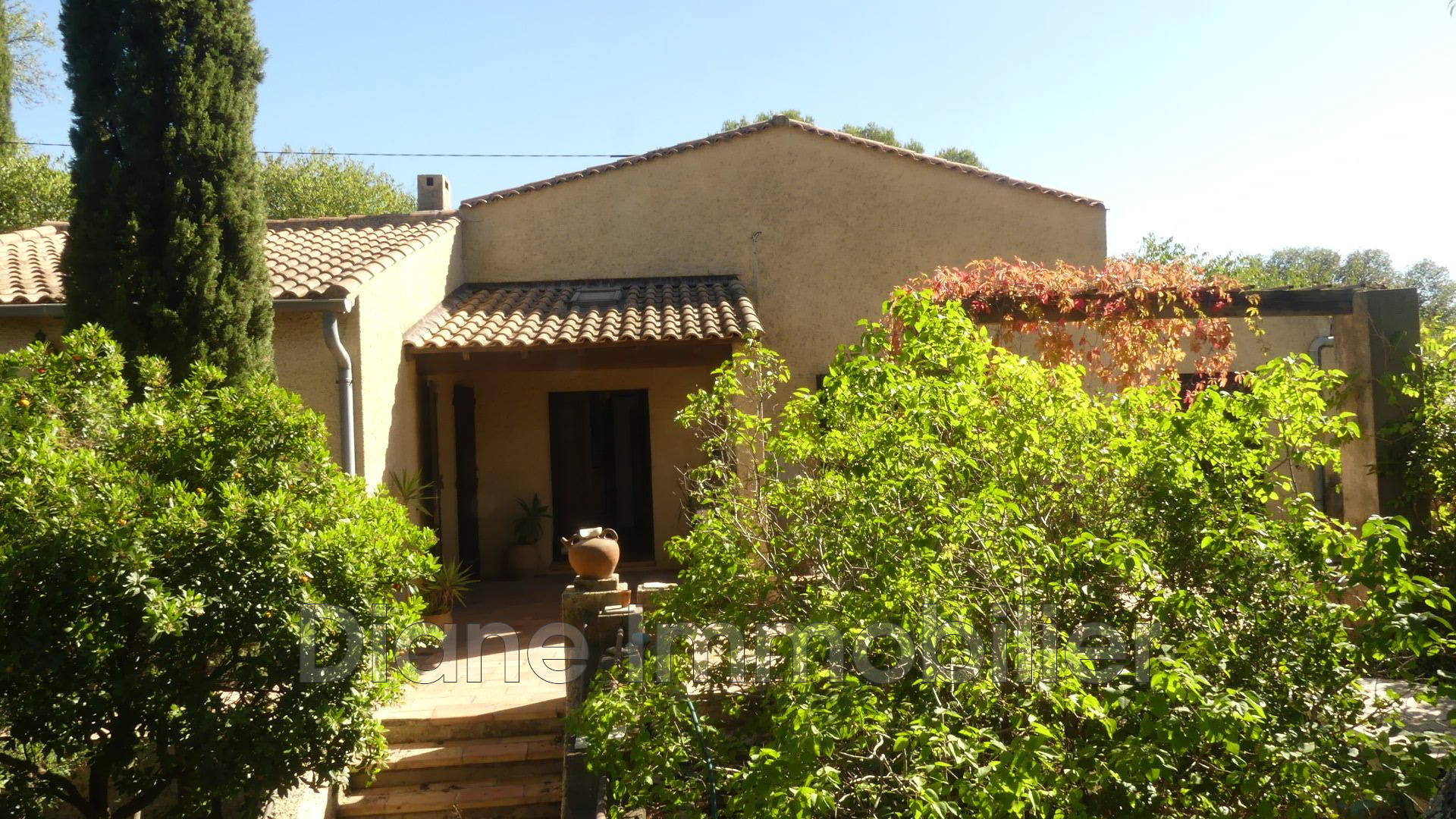 Agence immobilière de Diane Immobilier