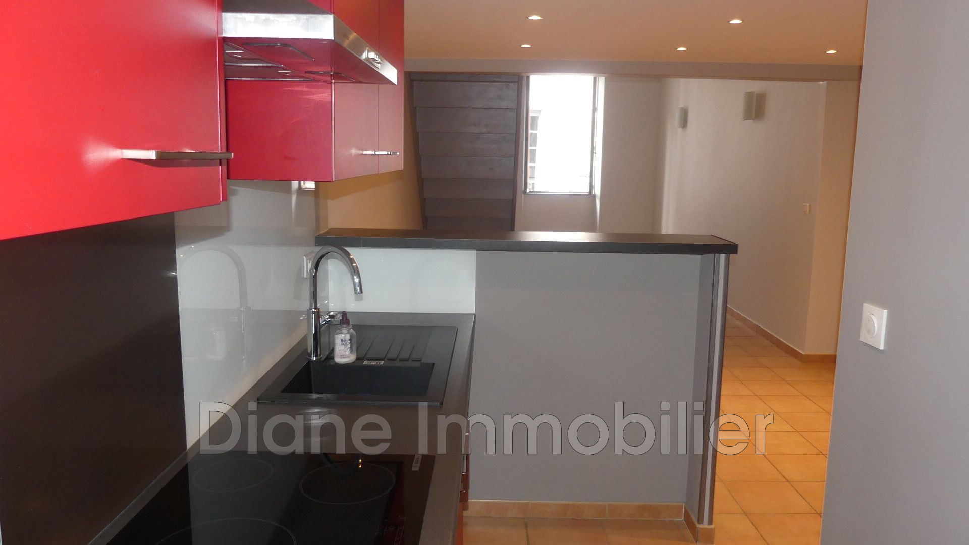 Agence immobilière de Diane Immobilier