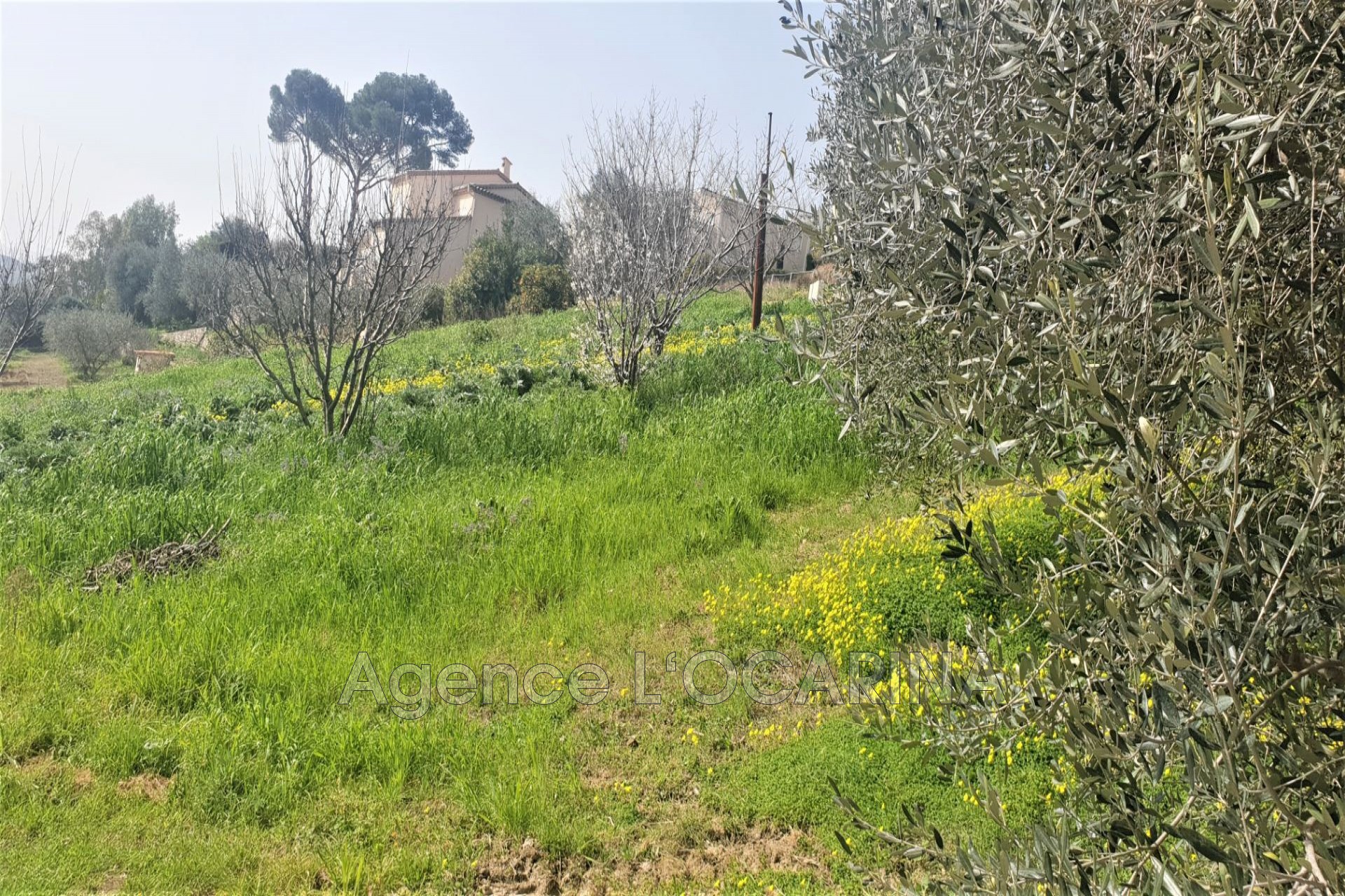 Agence immobilière de Agence LOCARINA