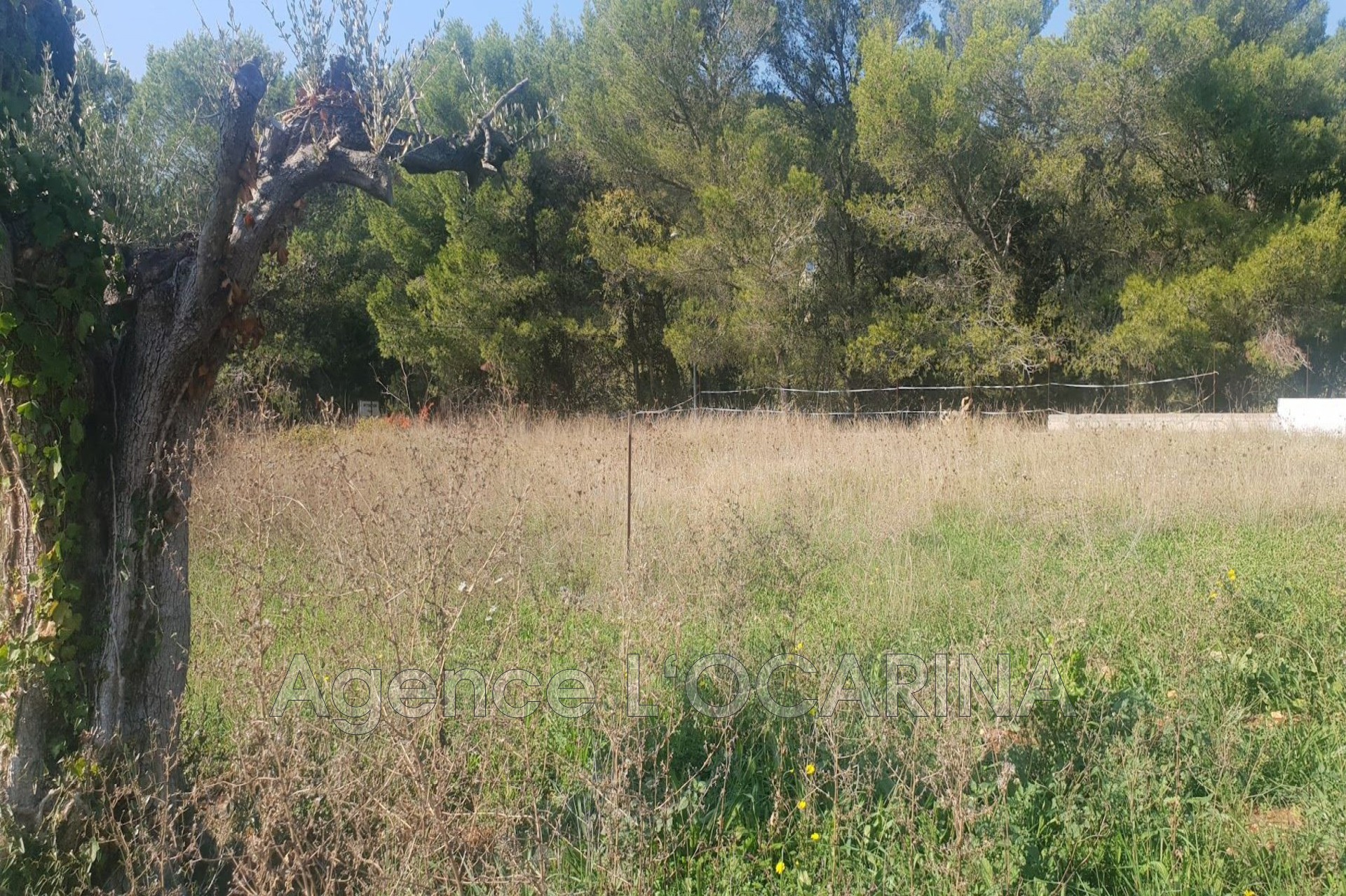 Agence immobilière de Agence LOCARINA