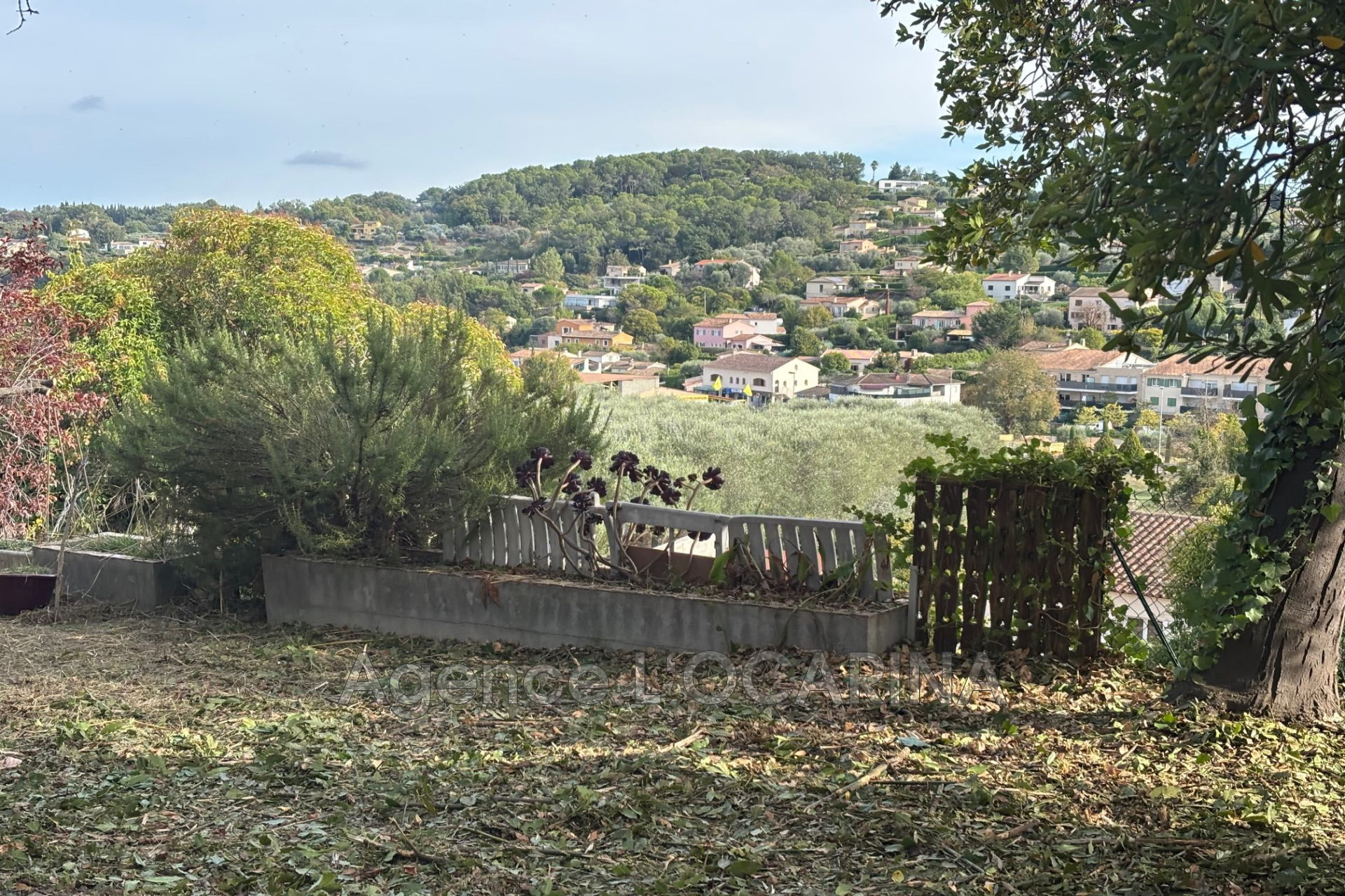 Agence immobilière de Agence LOCARINA