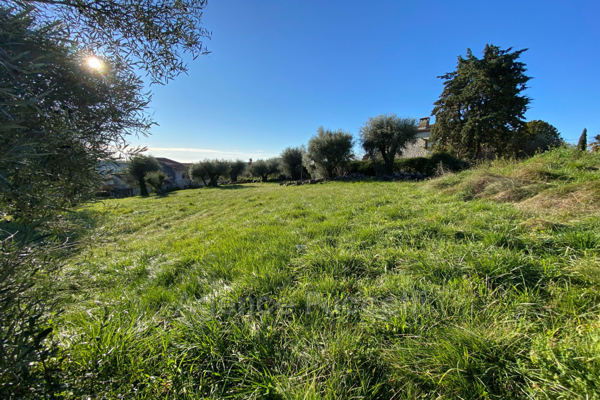 Agence immobilière de Agence Puccetti