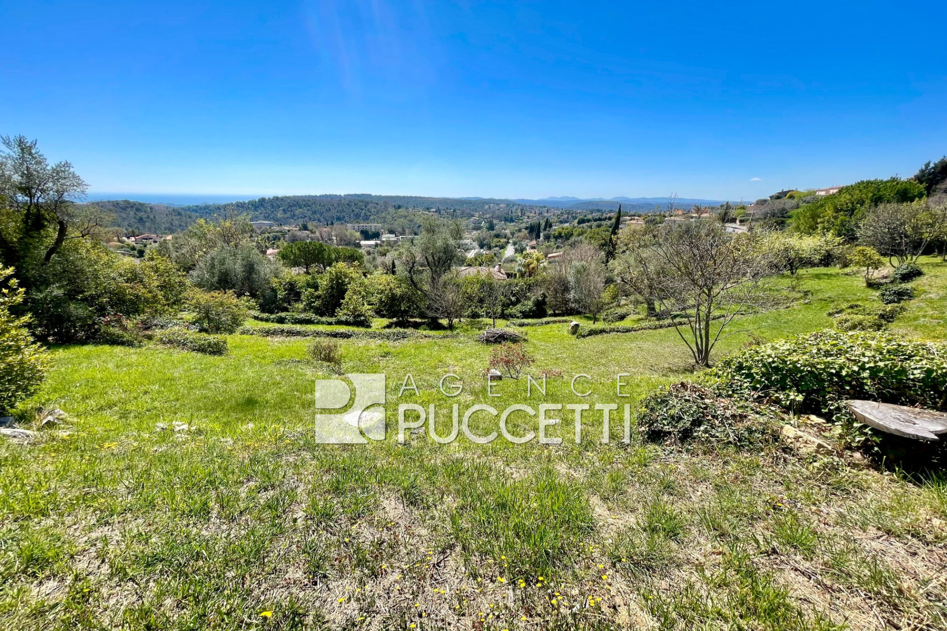 Agence immobilière de Agence Puccetti