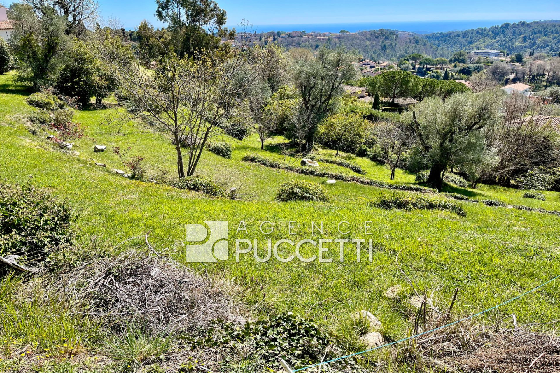 Agence immobilière de Agence Puccetti