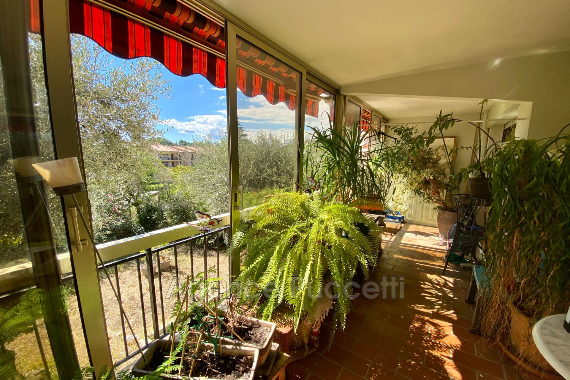 Agence immobilière de Agence Puccetti