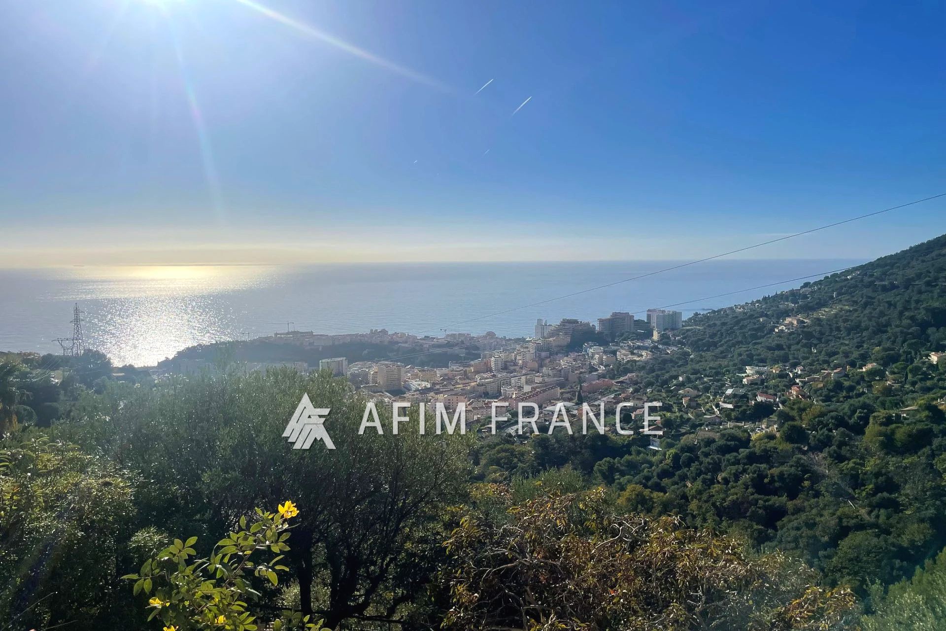 Agence immobilière de AFIM France