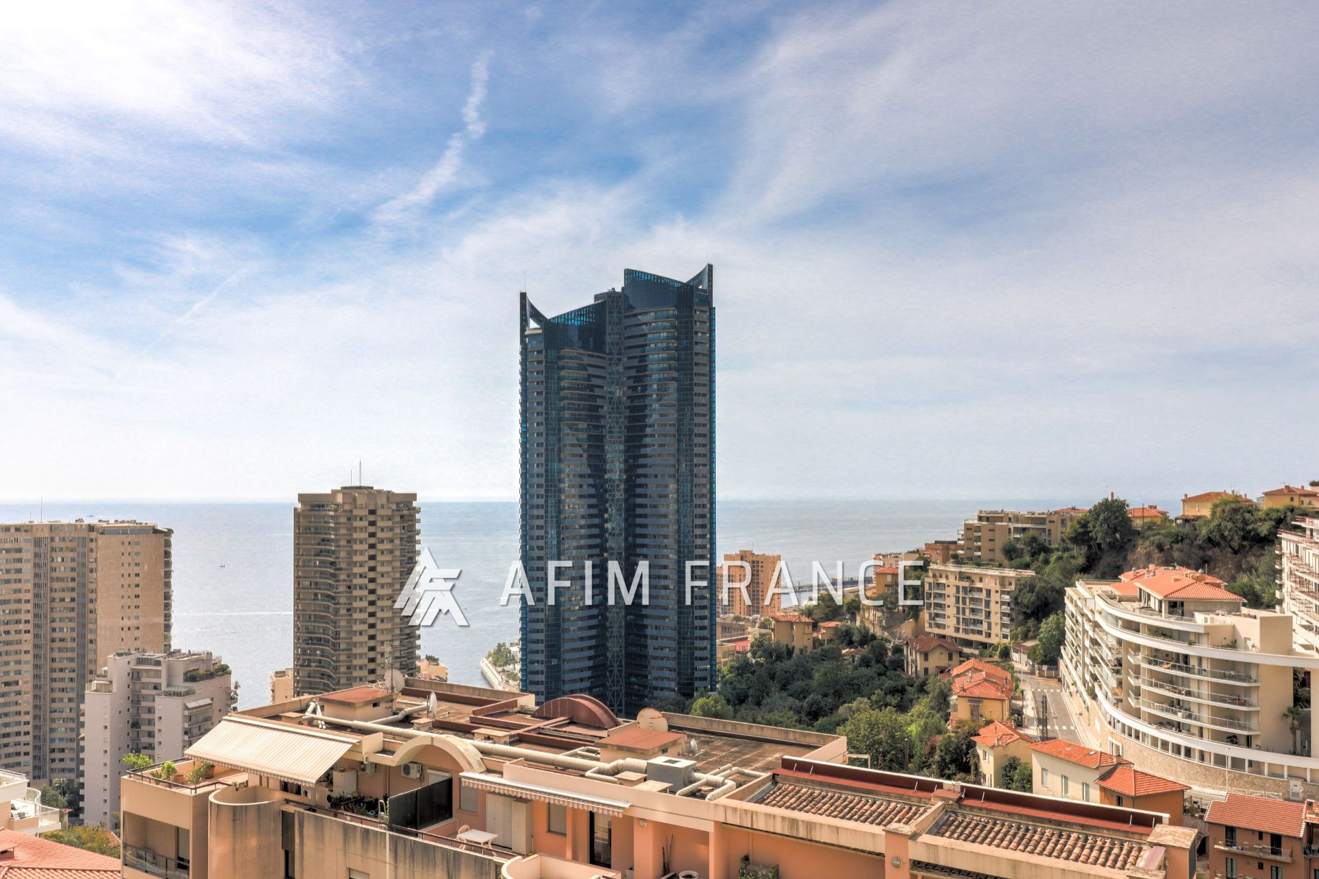 Agence immobilière de AFIM France
