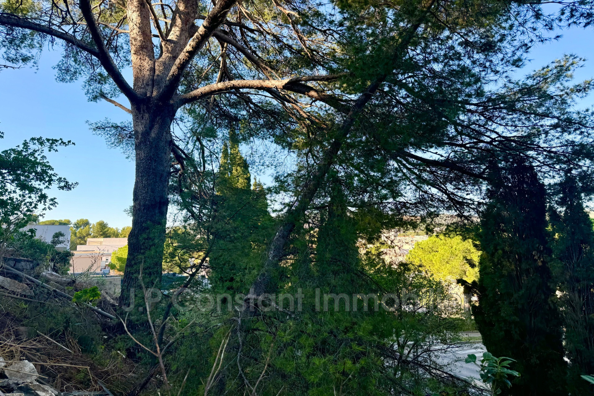 Agence immobilière de Constant Immobilier