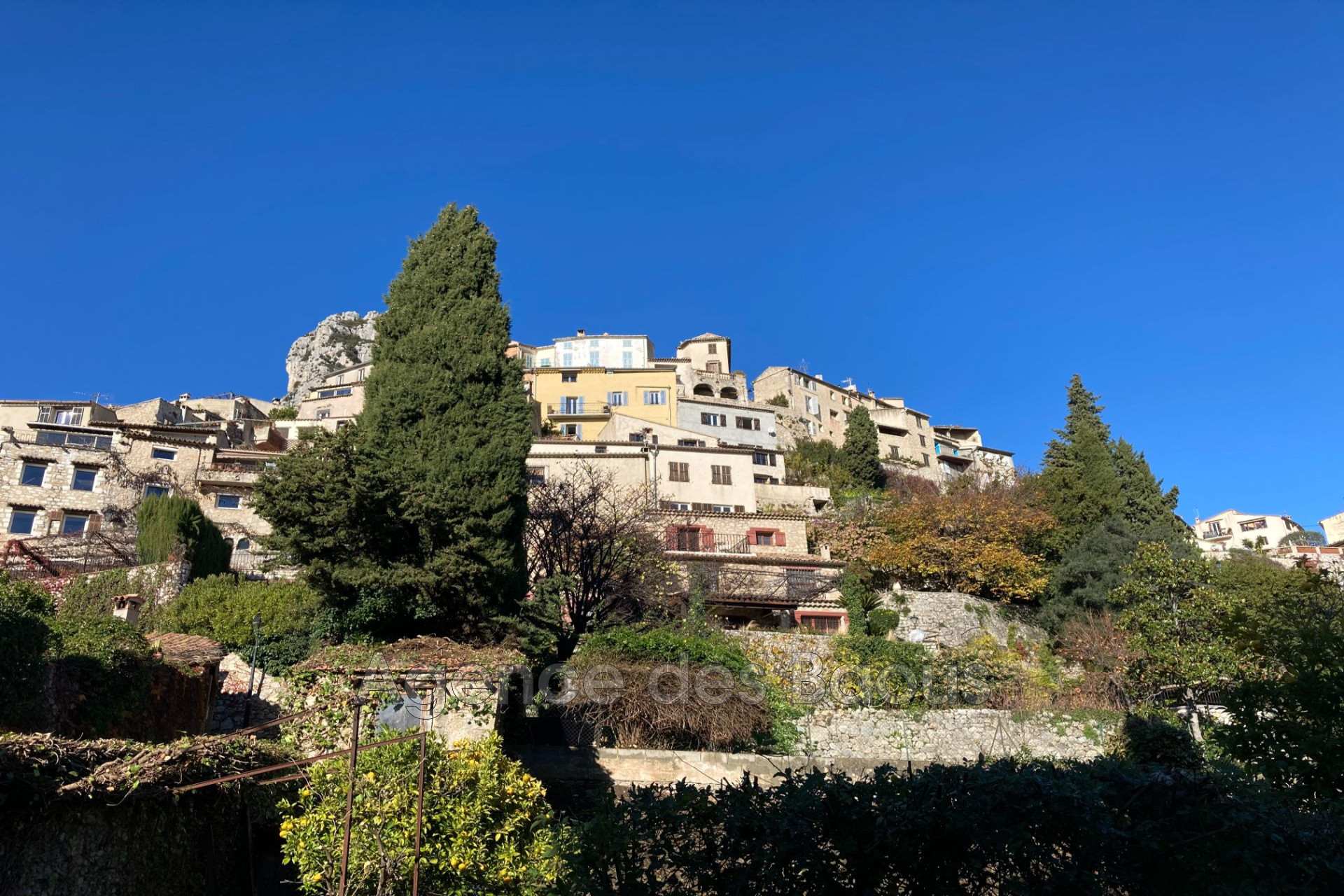 Agence immobilière de Agence des Baous