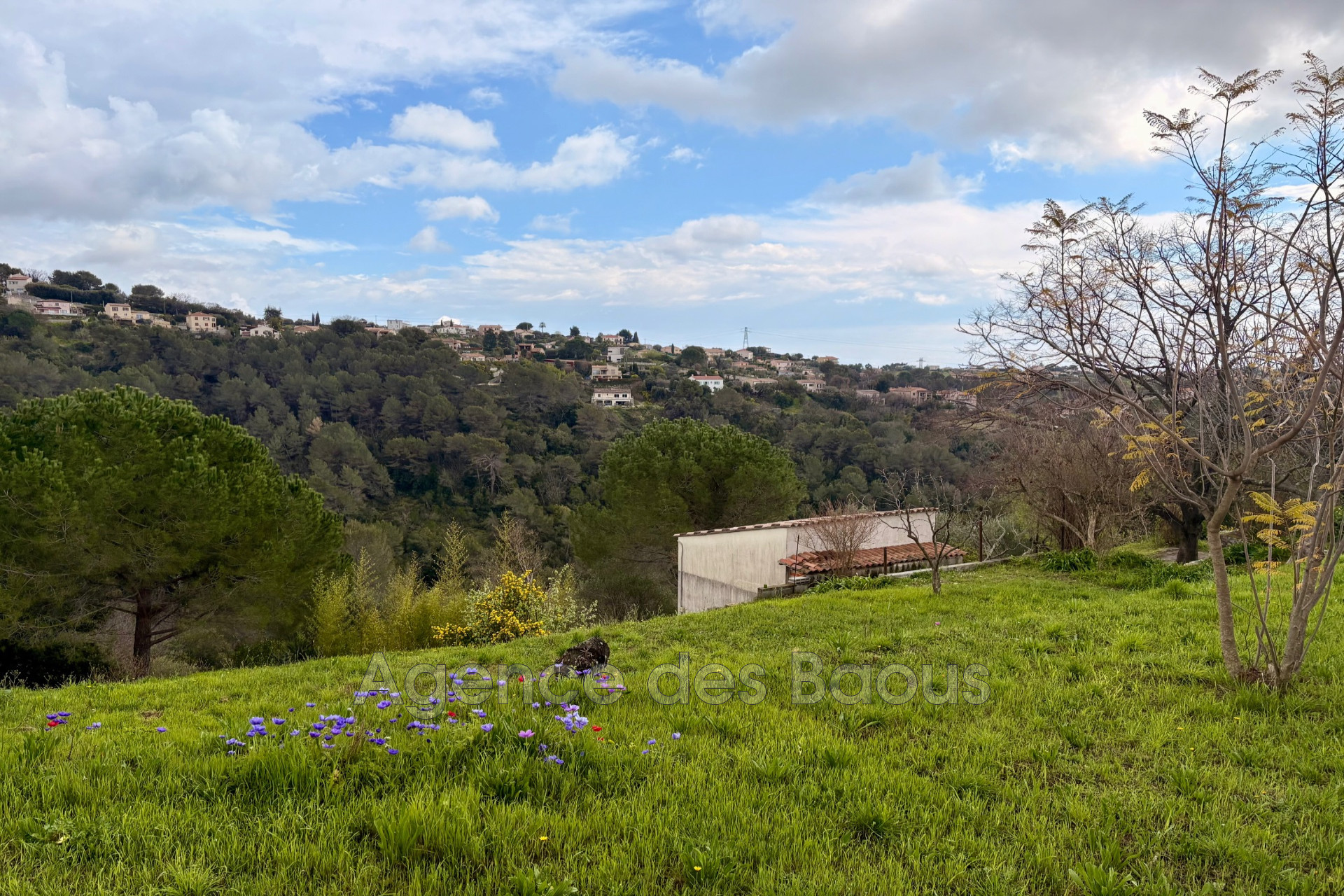 Agence immobilière de Agence des Baous