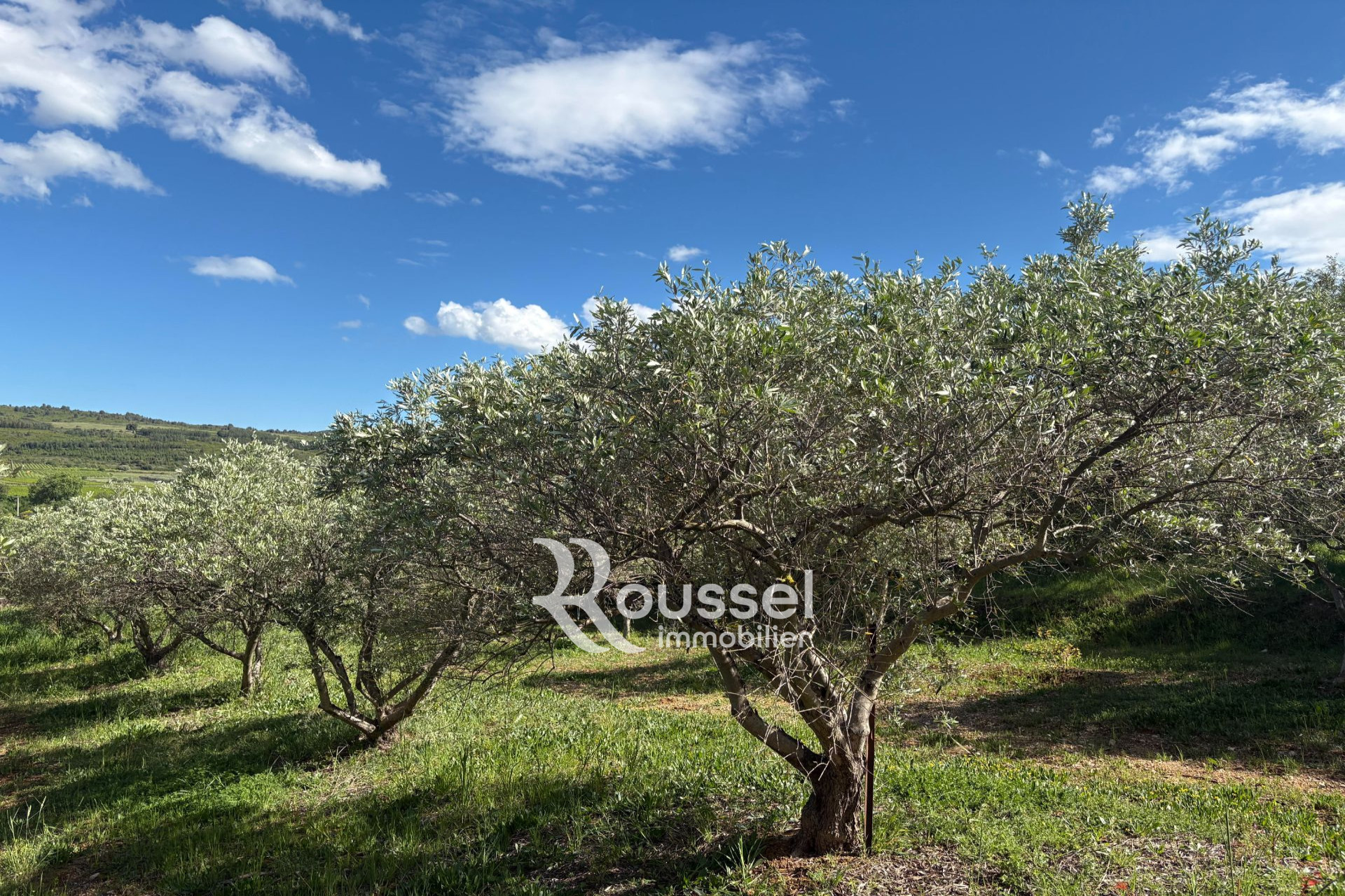 Agence immobilière de Roussel Immobilier Poussan