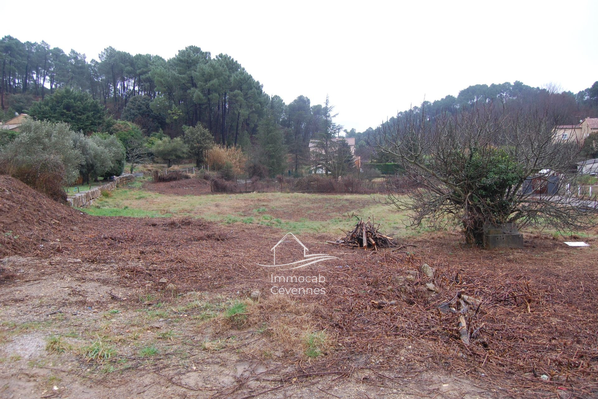 Agence immobilière de IMMOCAB CEVENNES