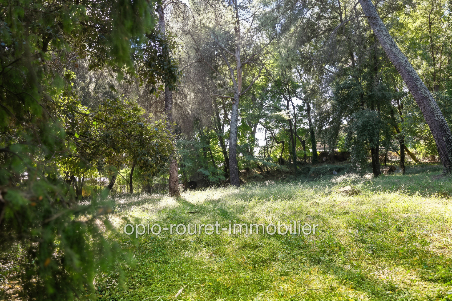 Agence immobilière de Opio Rouret Immobilier