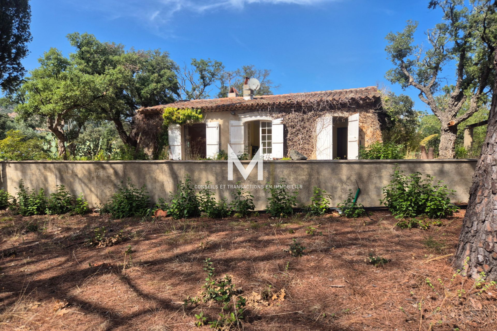Agence immobilière de MC Immobilier