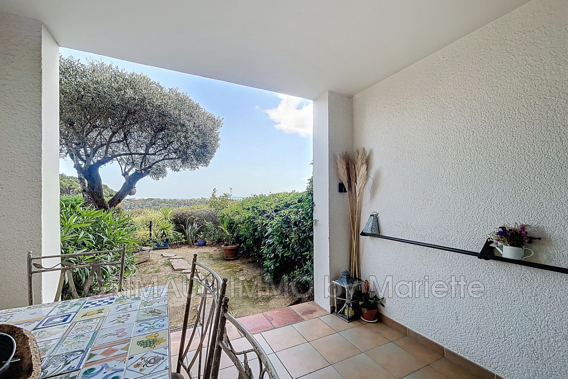 Image principale - Grimaud