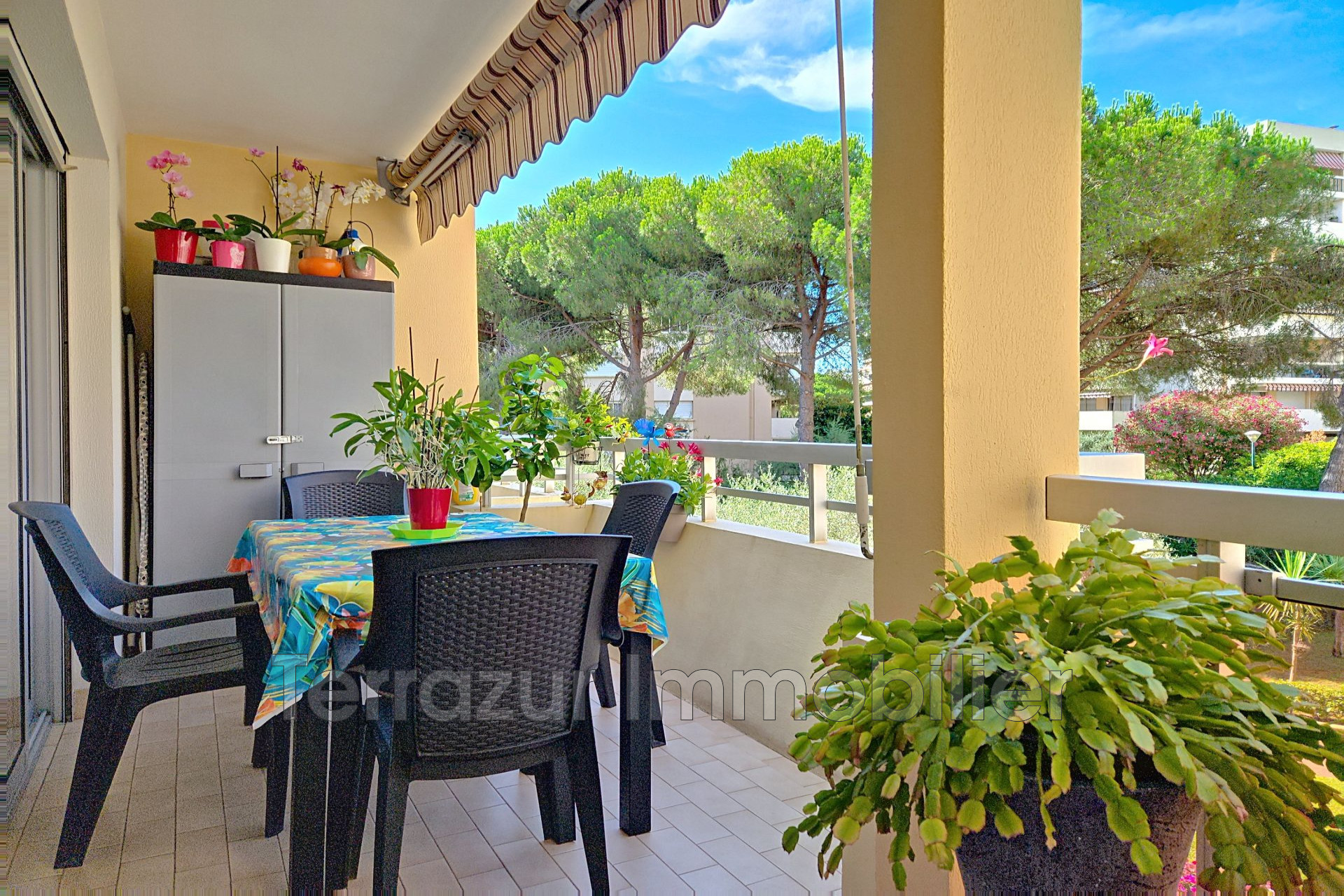 Agence immobilière de Terrazur Immobilier
