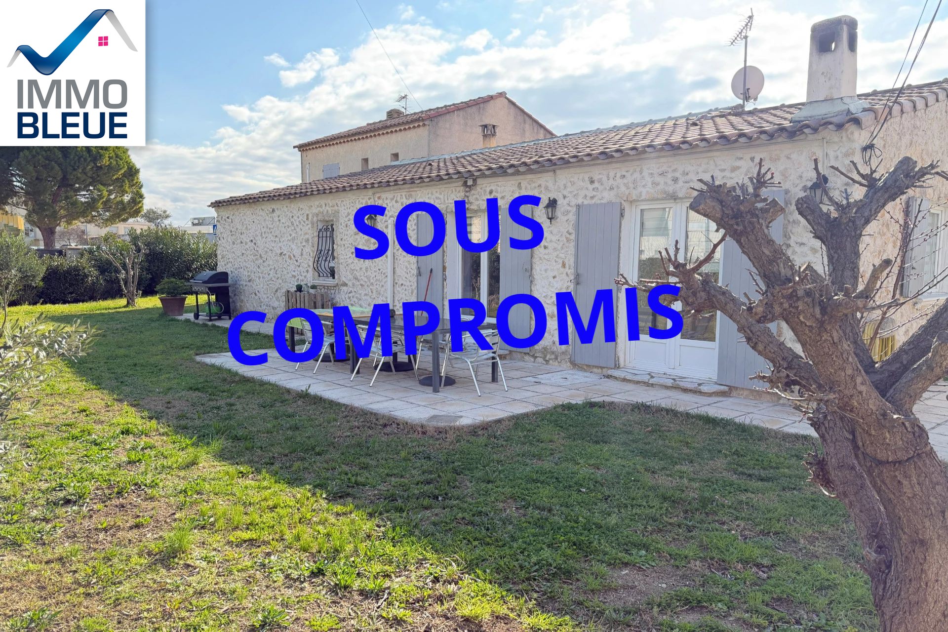 Agence immobilière de L'Immobilière Bleue