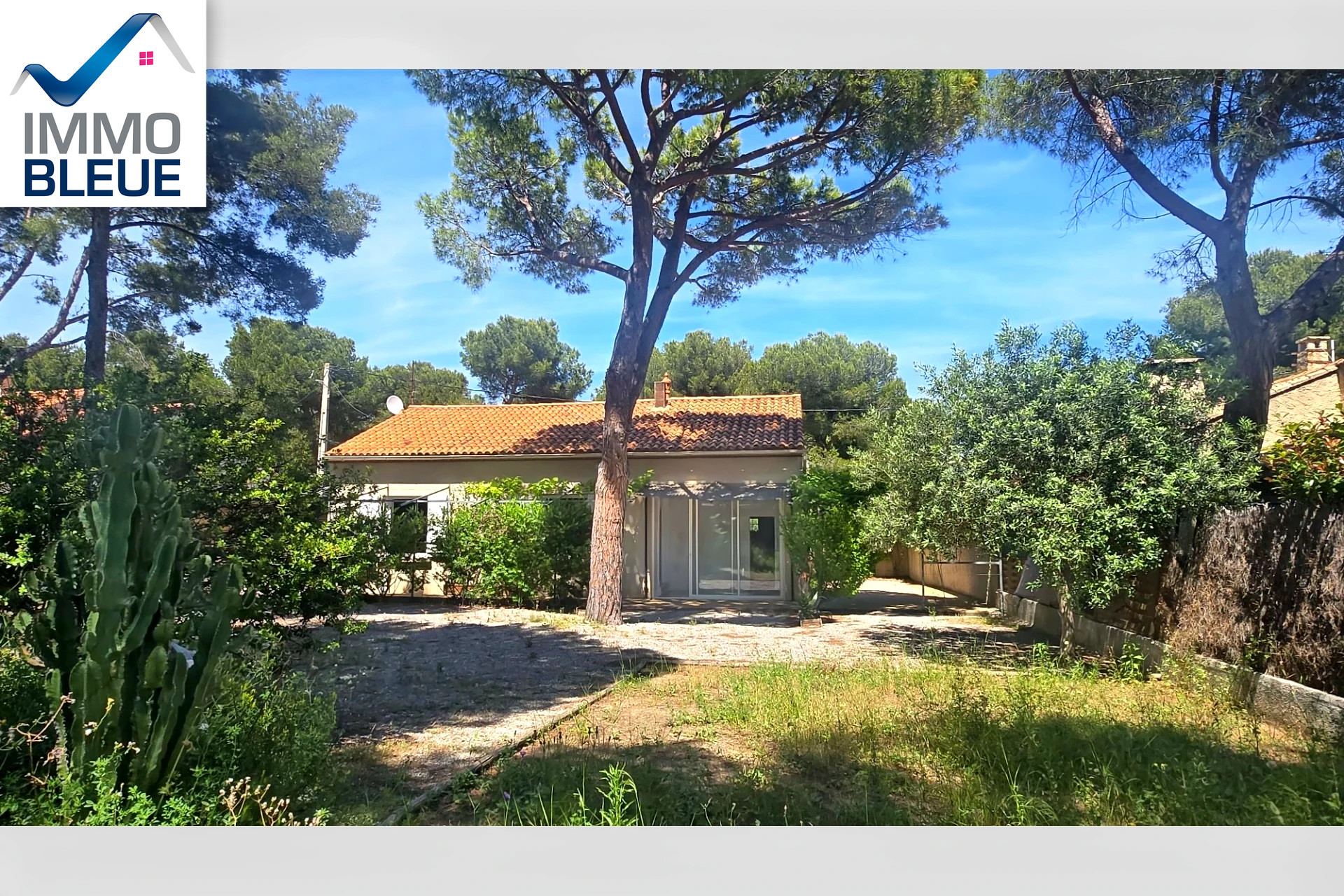 Agence immobilière de L'Immobilière Bleue